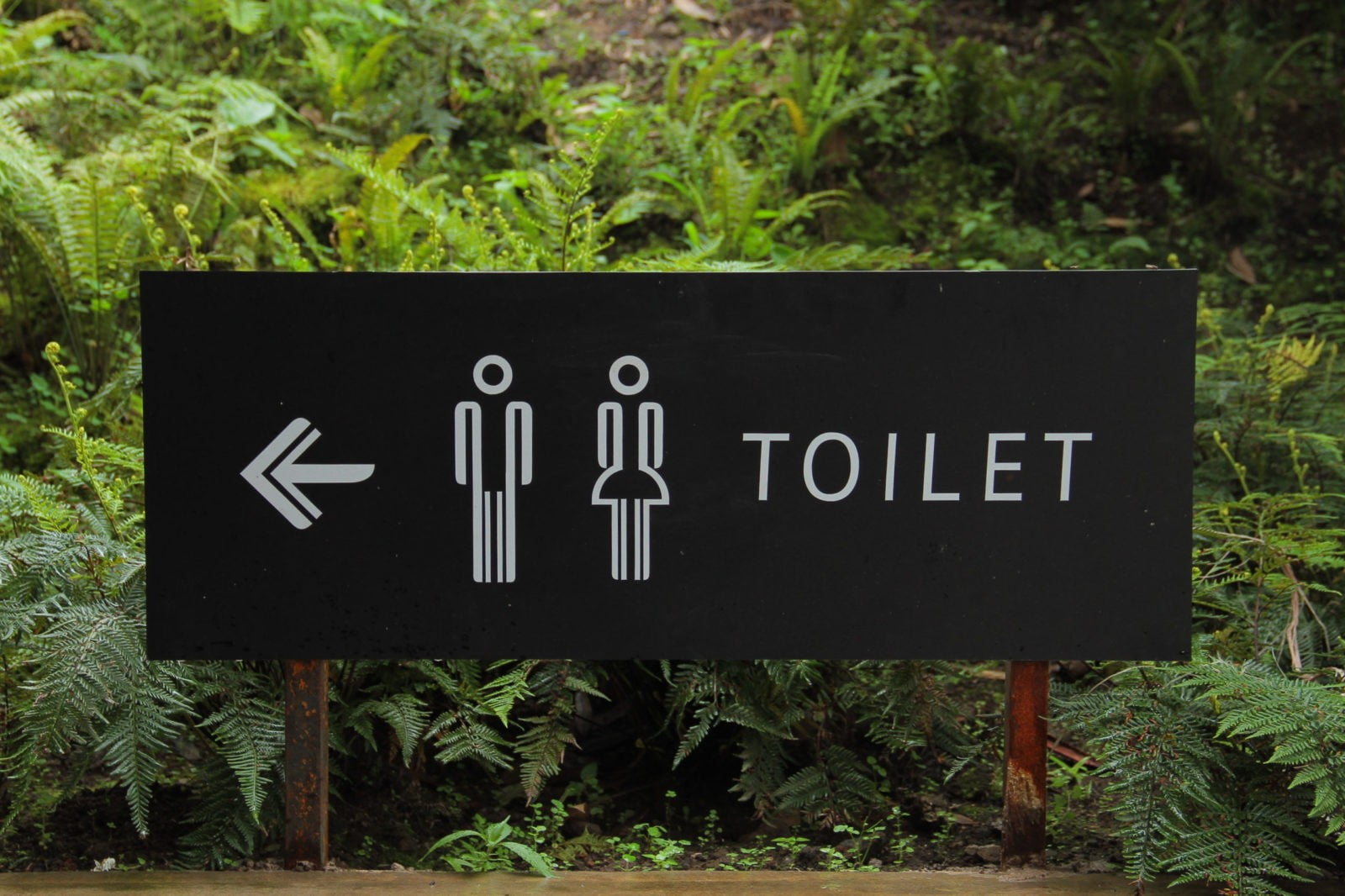 Canva Toilet Signage Beside Green Leaf