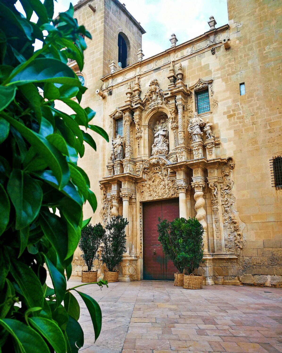 Alicante. Bazylika Santa María. Hiszpania
