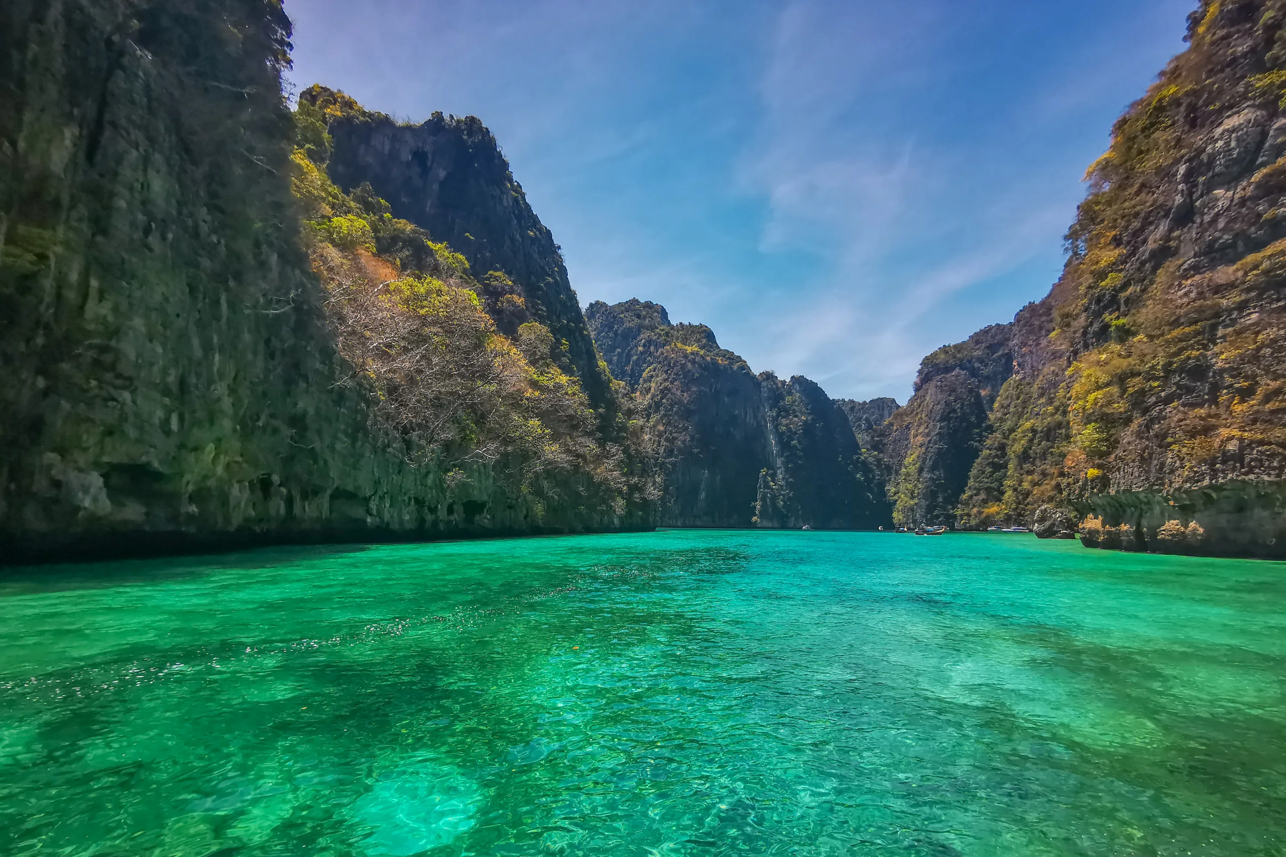 Turkusowe wody laguny otoczone wysokimi wapiennymi klifami porośniętymi roślinnością na wyspie Koh Phi Phi w Tajlandii