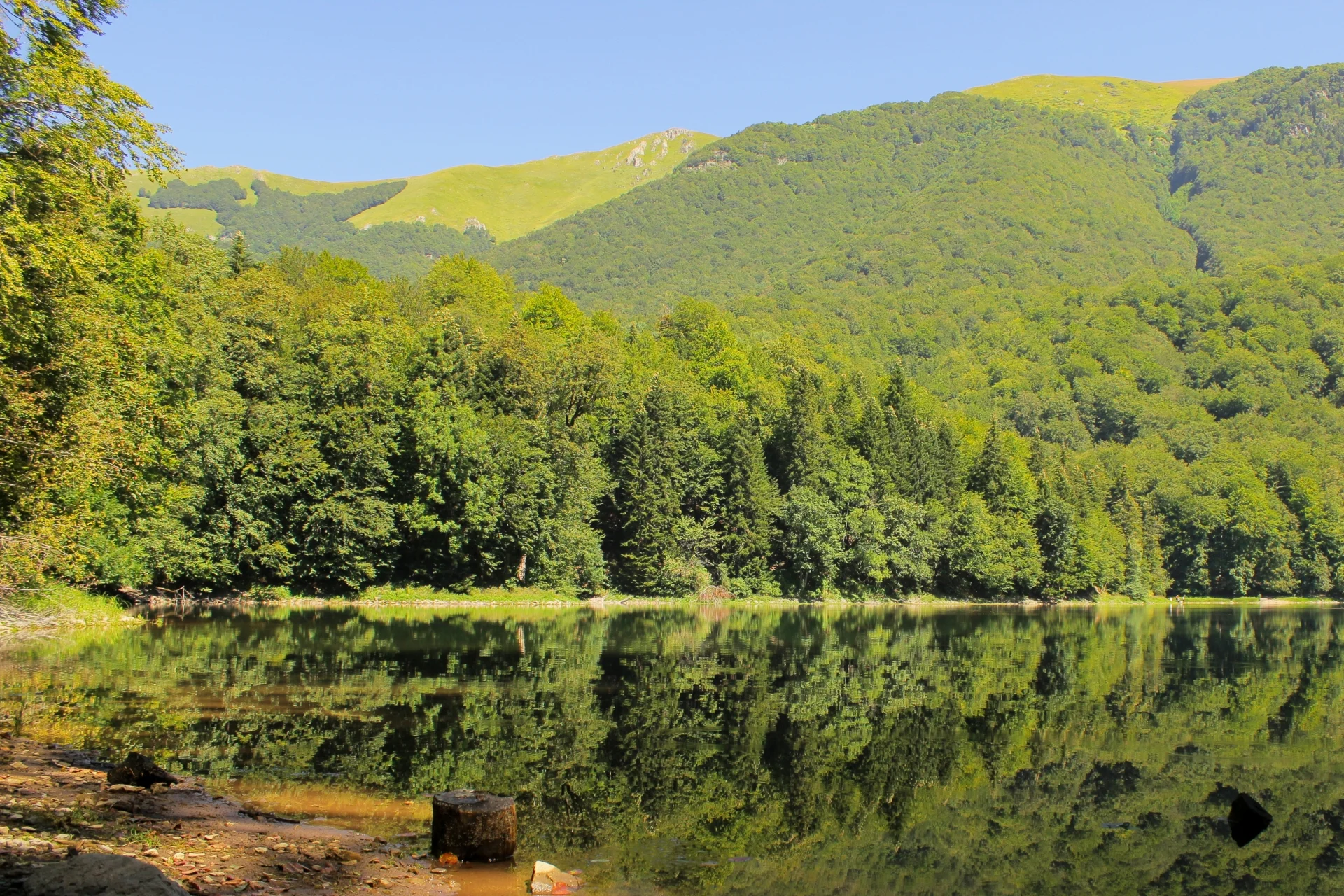 czarnogóra biogradska góra