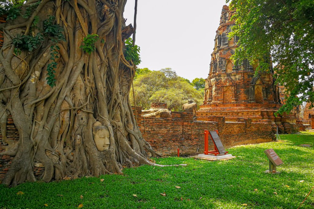 Wat Maha That, Ayutthaya, Tajlandia