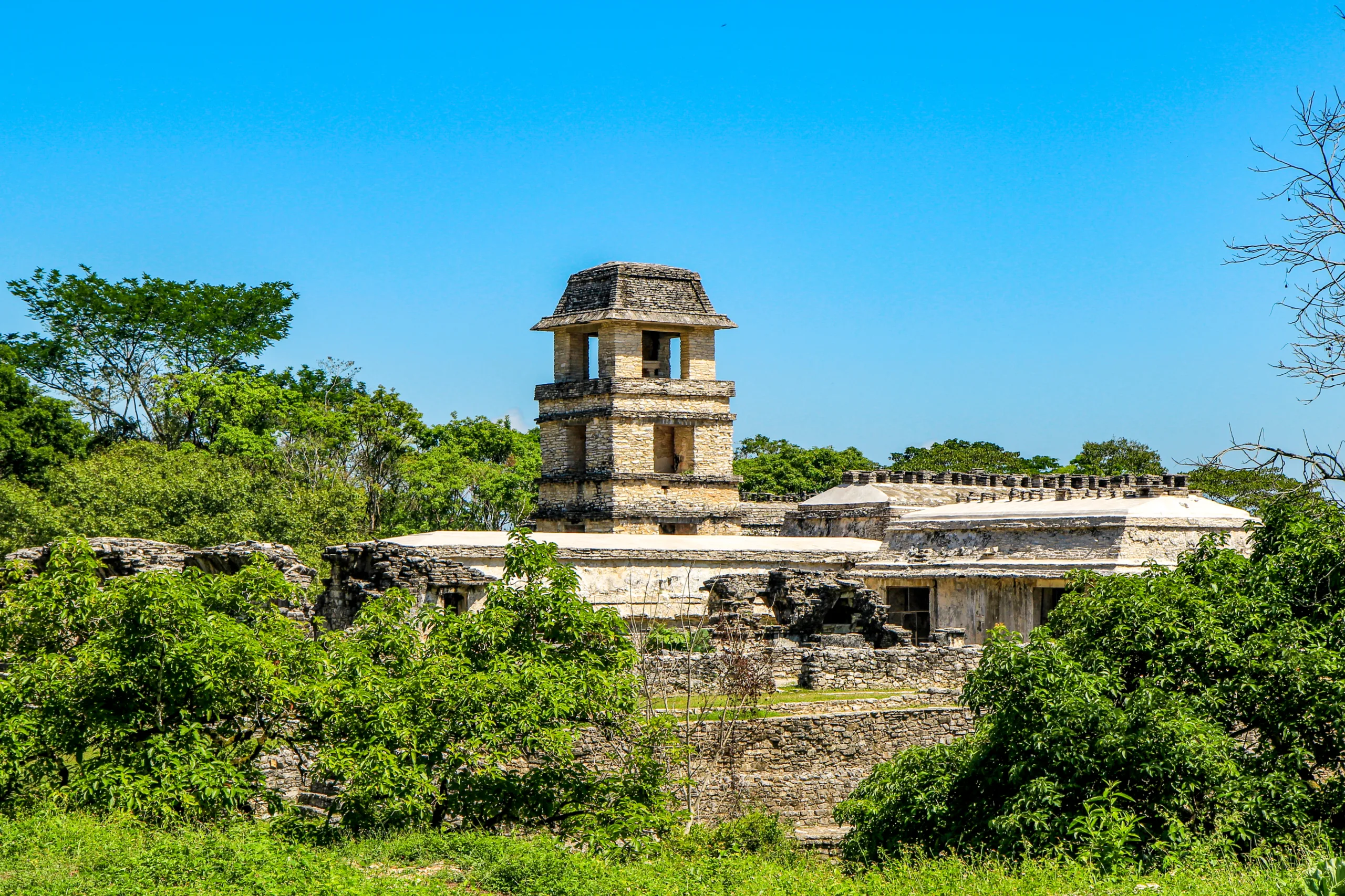 Wieża Obserwacyjna w Palenque w Meksyku – charakterystyczna czteropoziomowa konstrukcja wśród ruin Majów