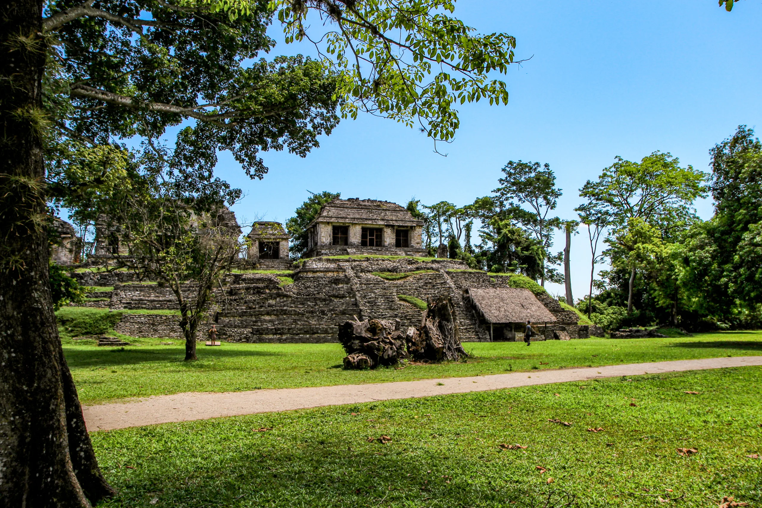 Starożytne ruiny w Palenque otoczone tropikalną roślinnością, Meksyk