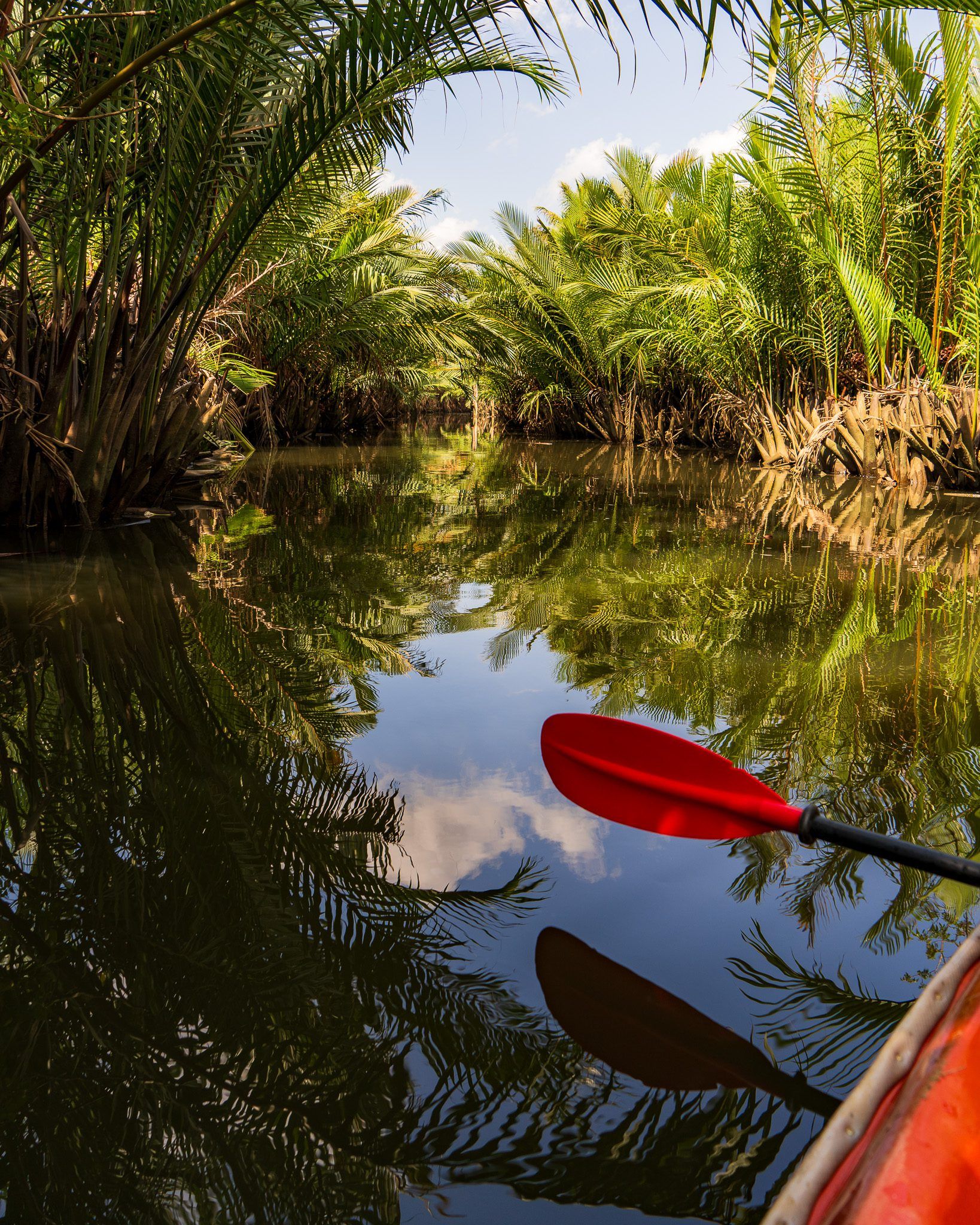 Kajak płynący wąską rzeką otoczoną gęstymi palmami nipa, z odbiciem nieba i chmur w spokojnej tafli wody.