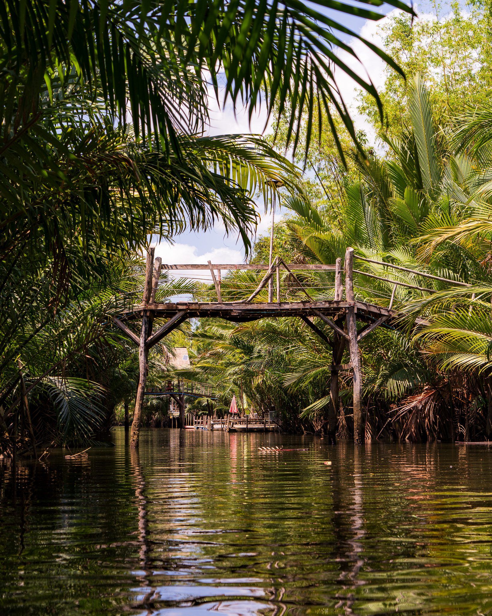 Drewniany mostek nad rzeką otoczoną gęstymi palmami nipa, widok z kajaka płynącego wzdłuż tropikalnego kanału.
