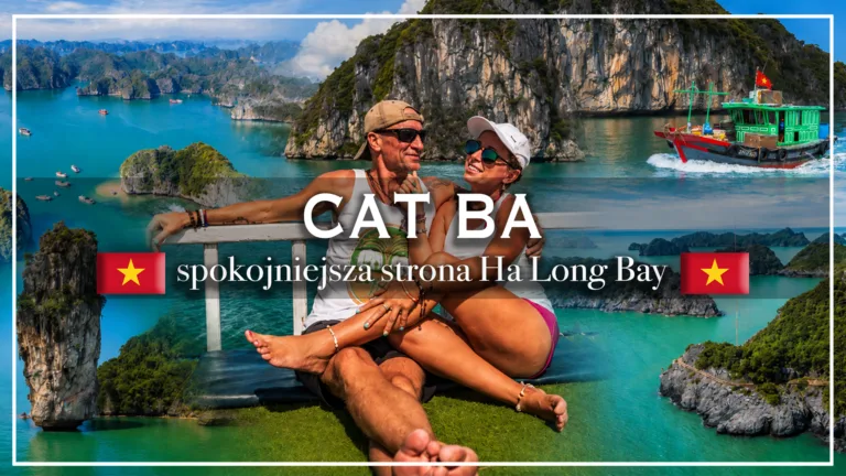 cat ba - blog etykieta