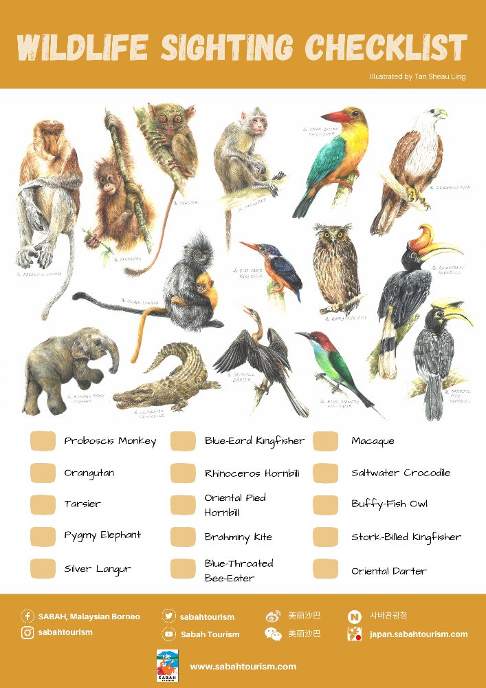 Wildlife Sighting Checklist