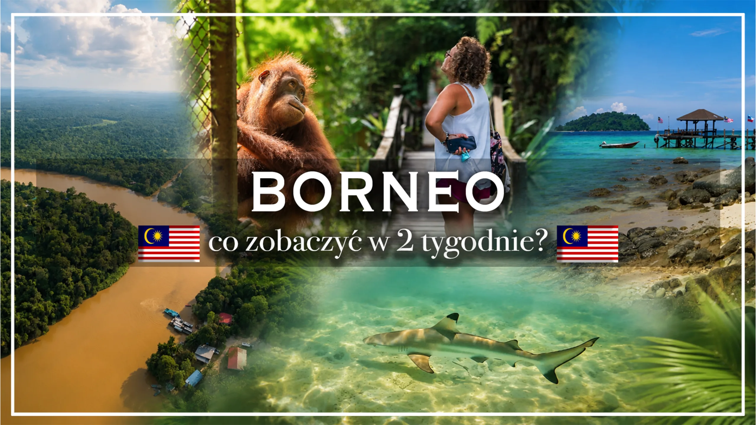 borneo - blog etykieta