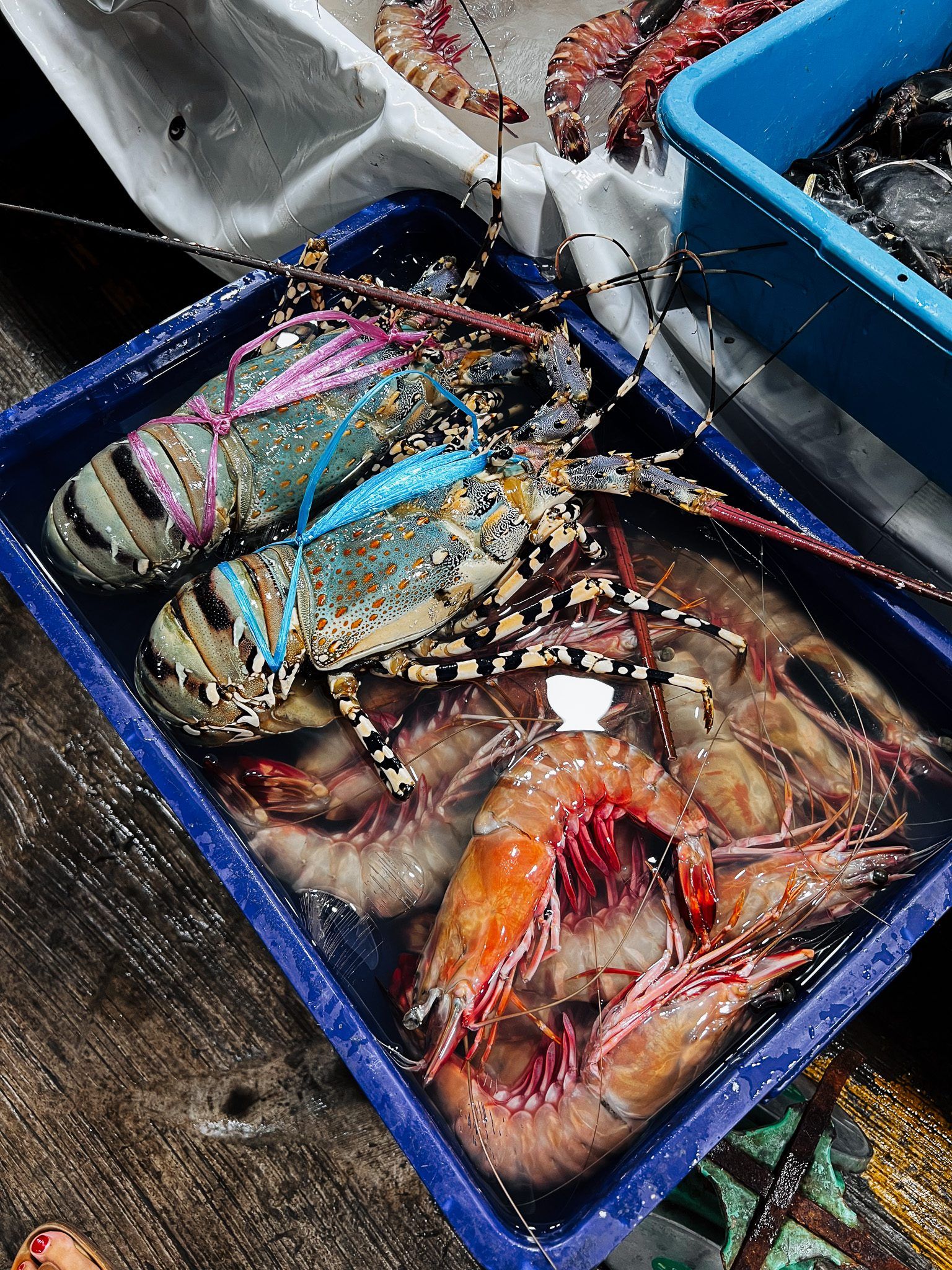 Tace z homarami i dużymi krewetkami na targu rybnym