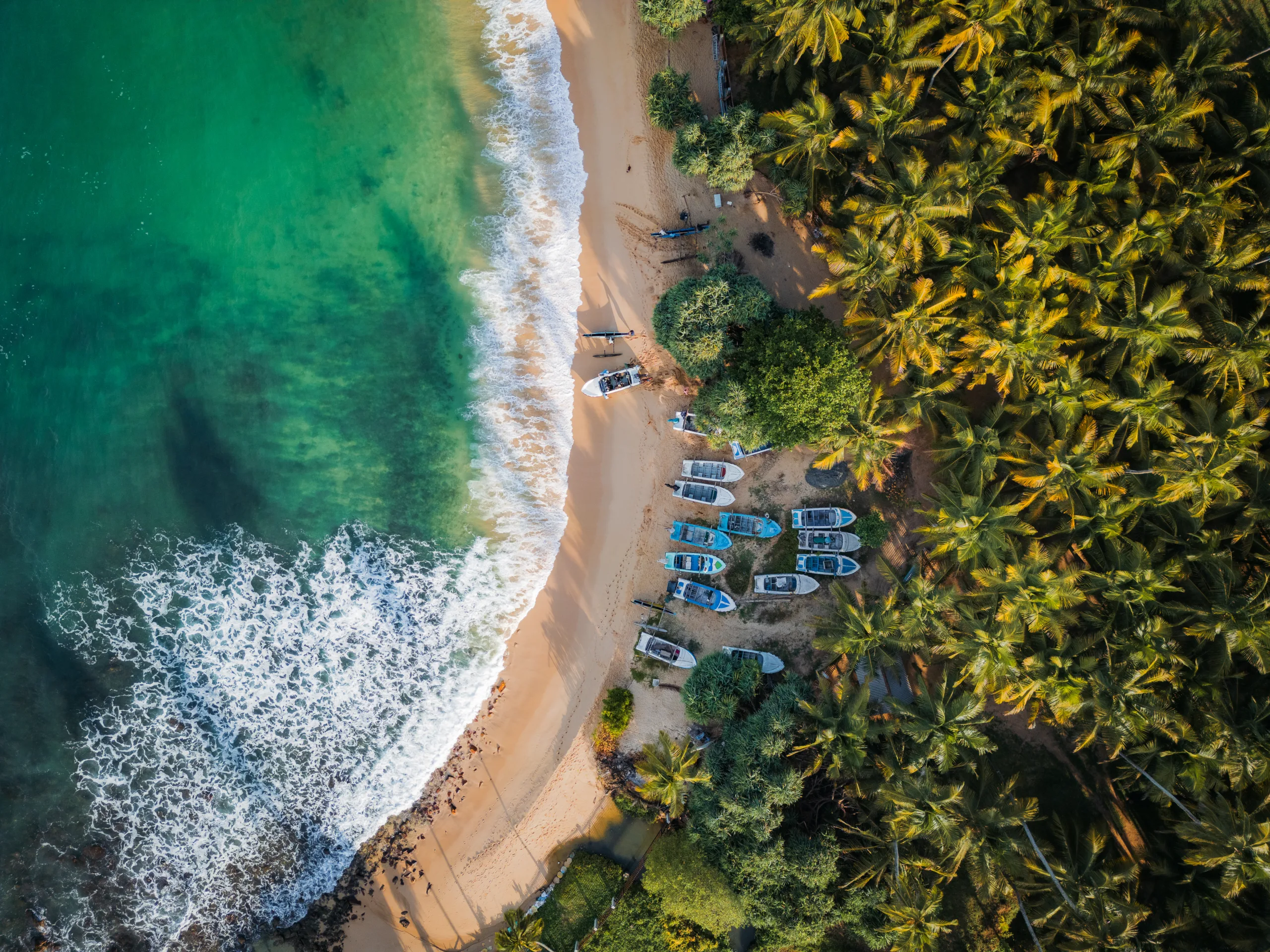 Widok z lotu ptaka na plażę w Sri Lance z łodziami rybackimi i palmami kokosowymi.