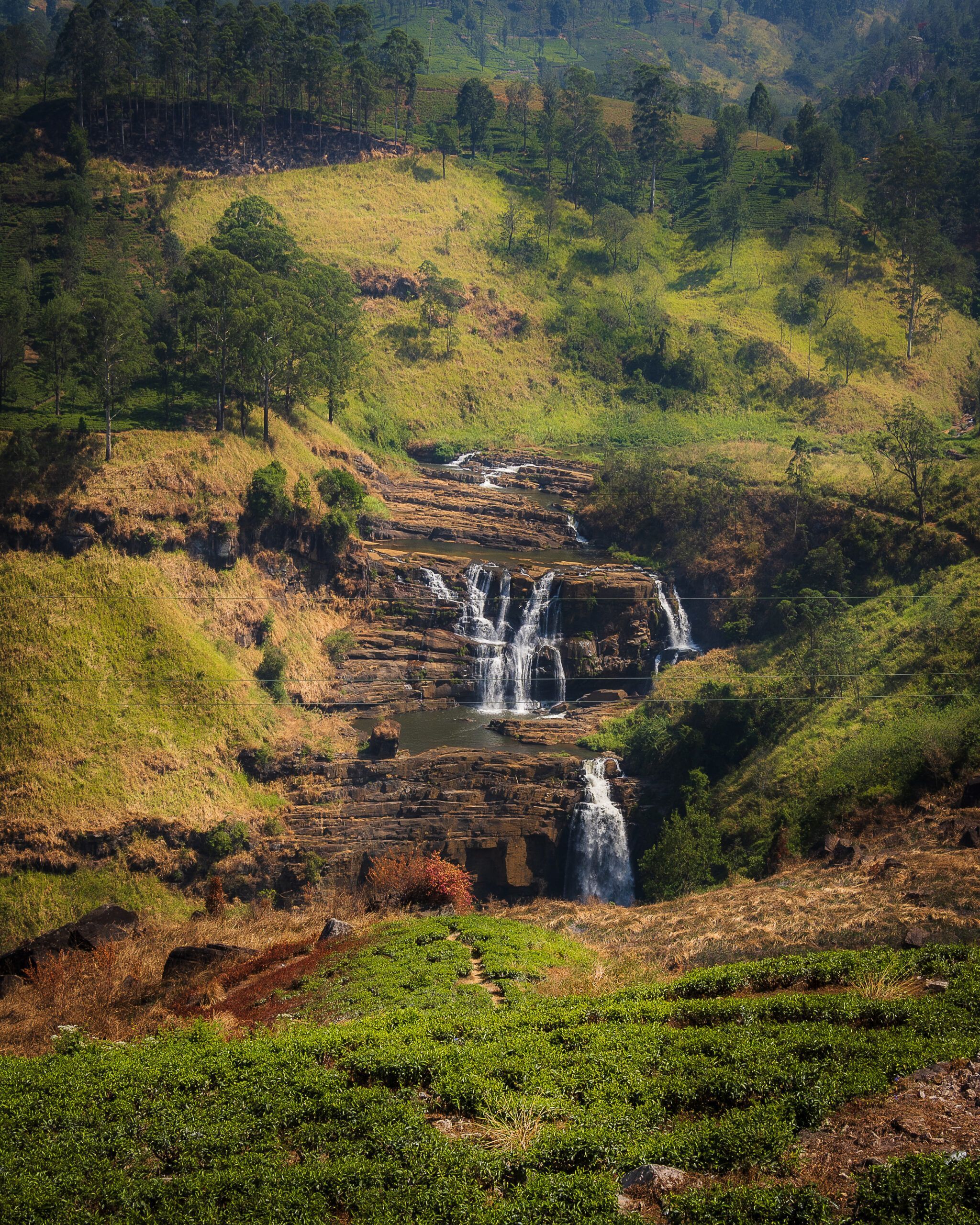 Wodospad spływający po skalnych tarasach wśród zielonych wzgórz i plantacji herbaty na Sri Lance.