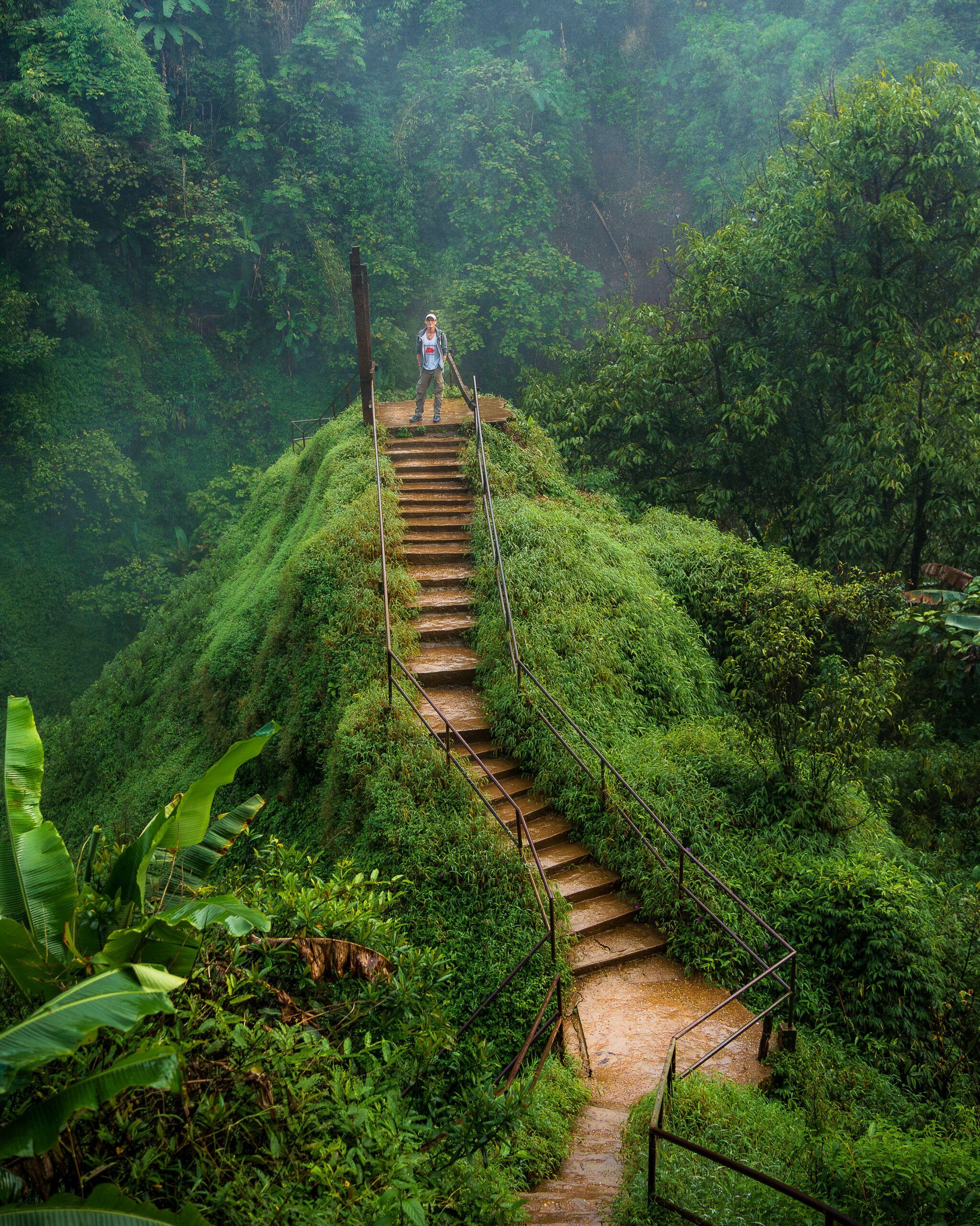 Podróżnik stojący na platformie widokowej na końcu wąskiej ścieżki i schodów, otoczony gęstą, tropikalną roślinnością.