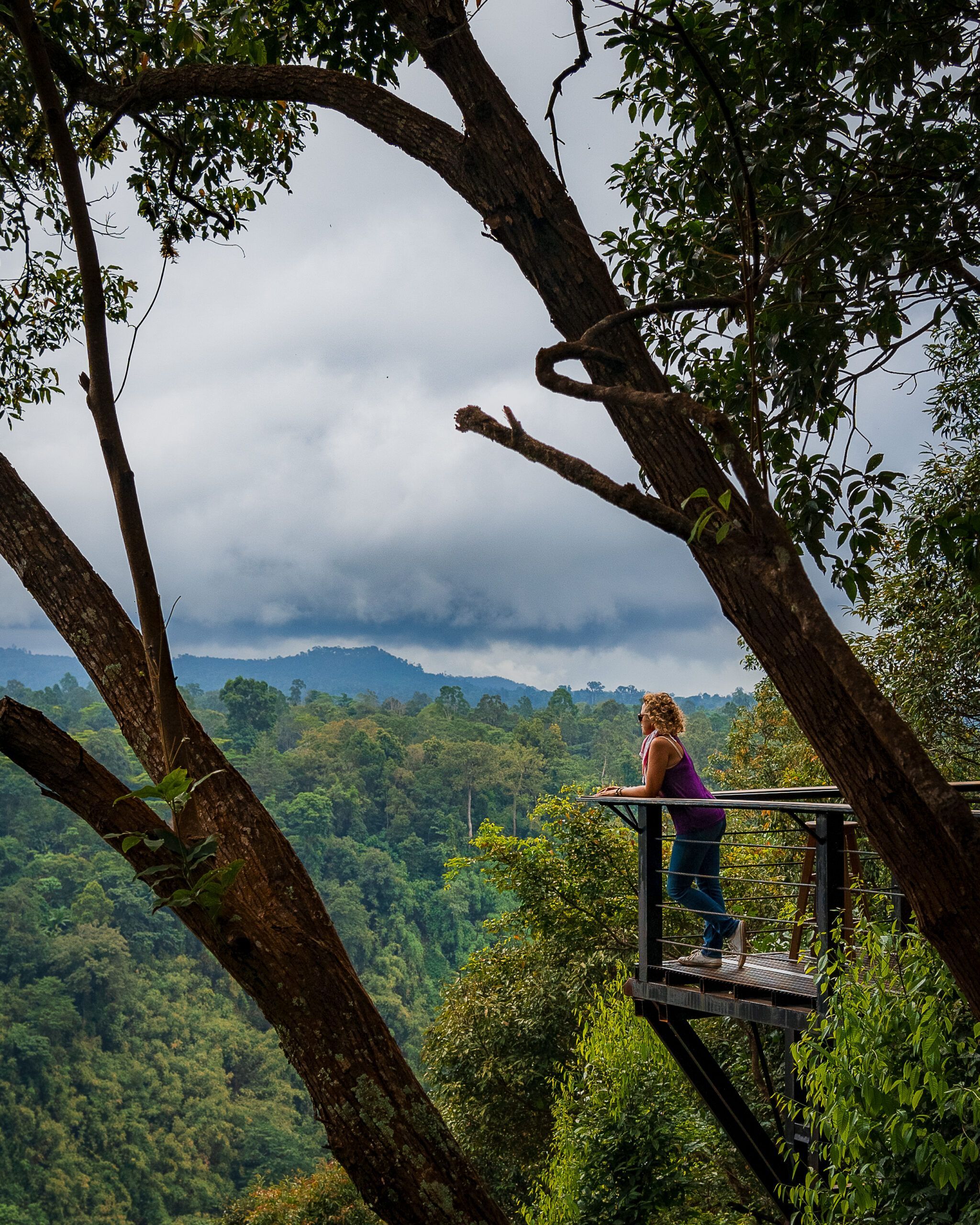 Kobieta stojąca na platformie widokowej wśród drzew, podziwiająca górski krajobraz spowity chmurami.