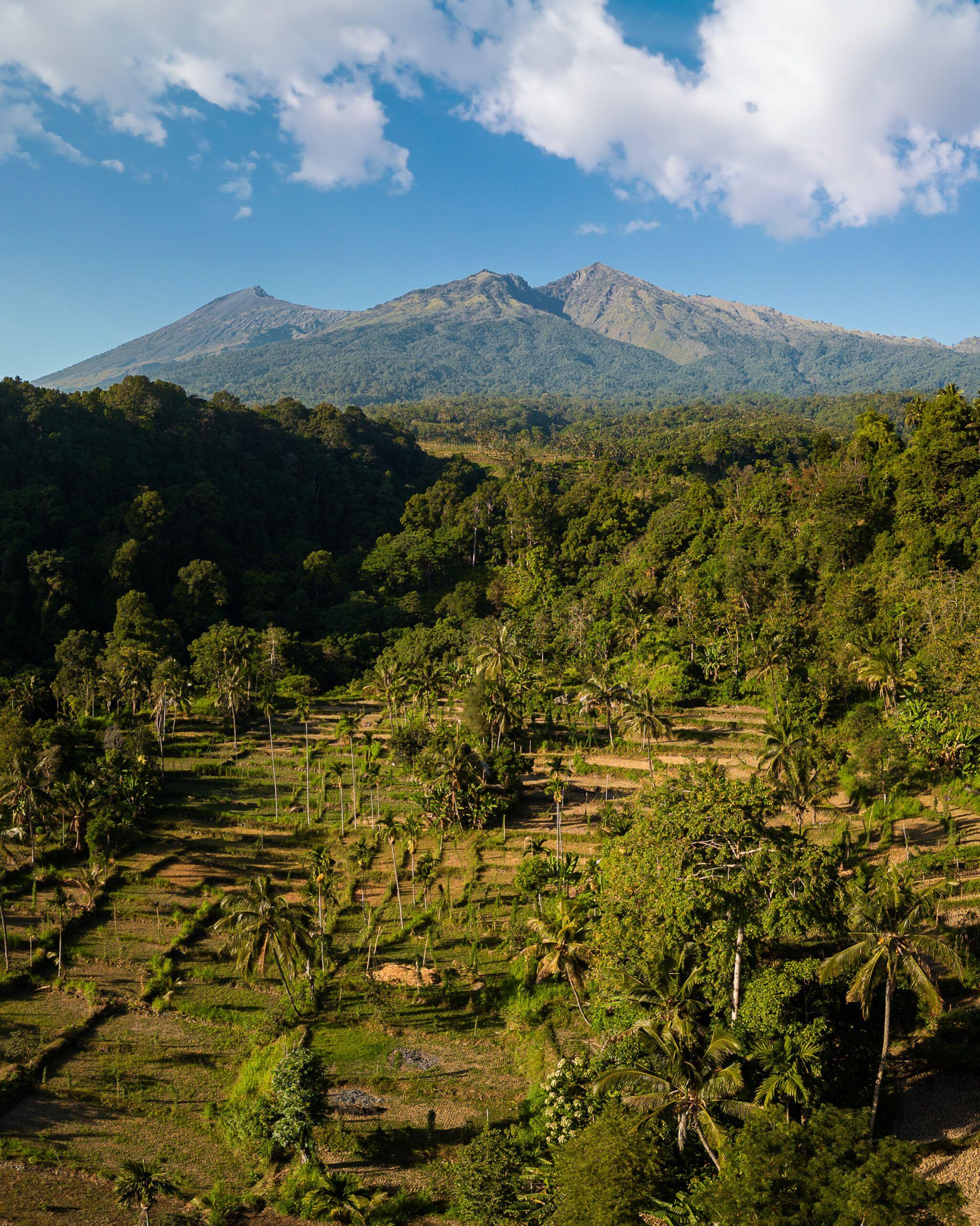 Lombok przewodnik - atrakcje, jak się dostać, na co uważać | Indonezja