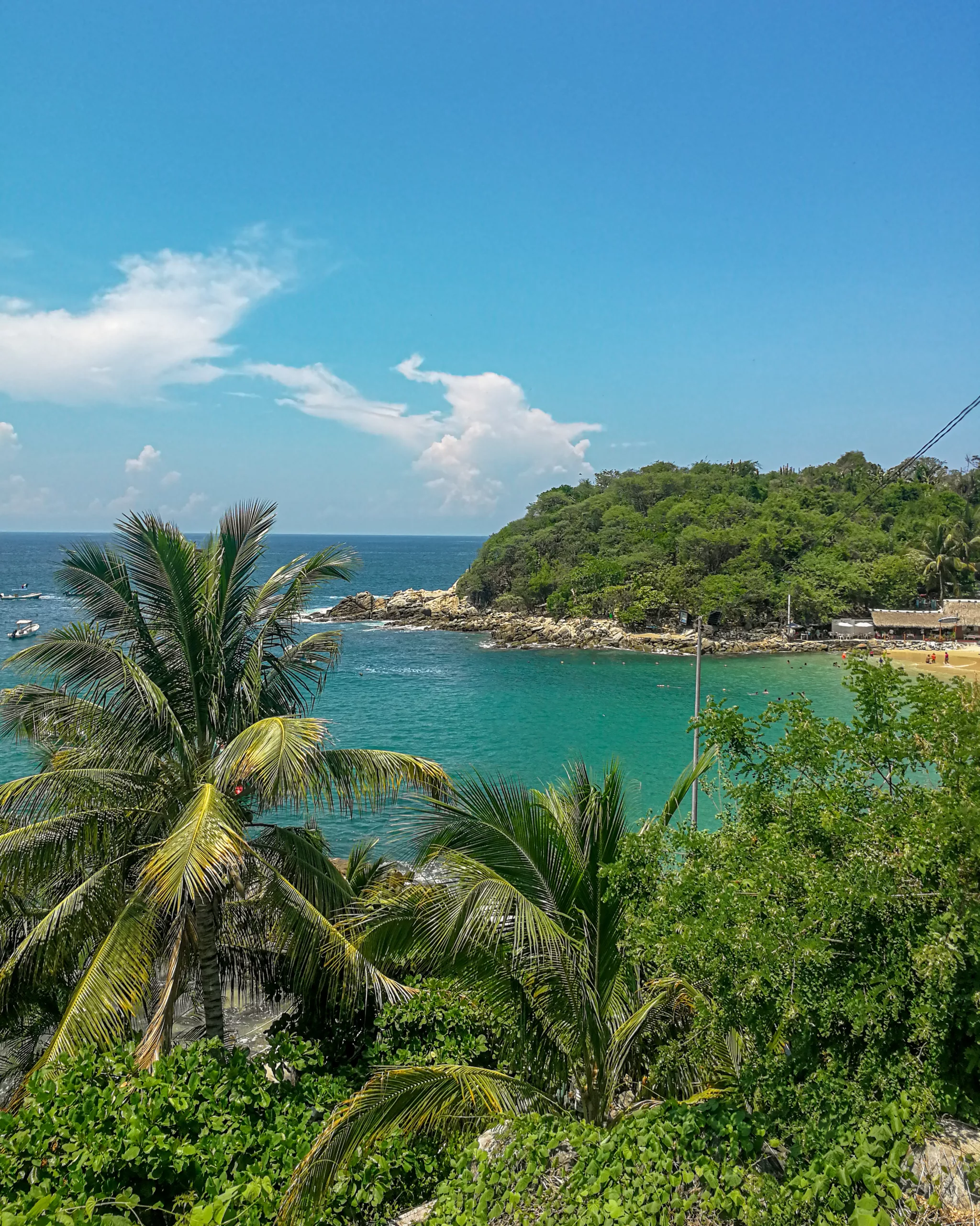 Zielona zatoka w Meksyku z palmami, turkusową wodą i niewielką plażą w otoczeniu tropikalnej roślinności
