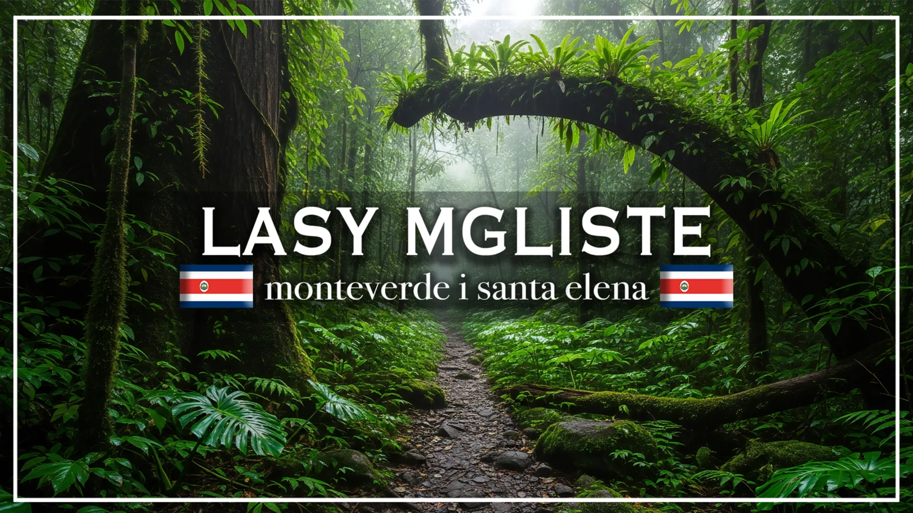 monteverde i santa elena - blog etykieta