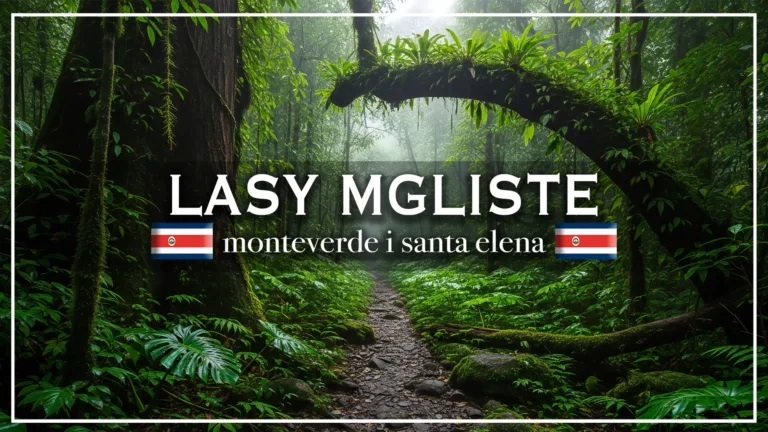 monteverde i santa elena - blog etykieta