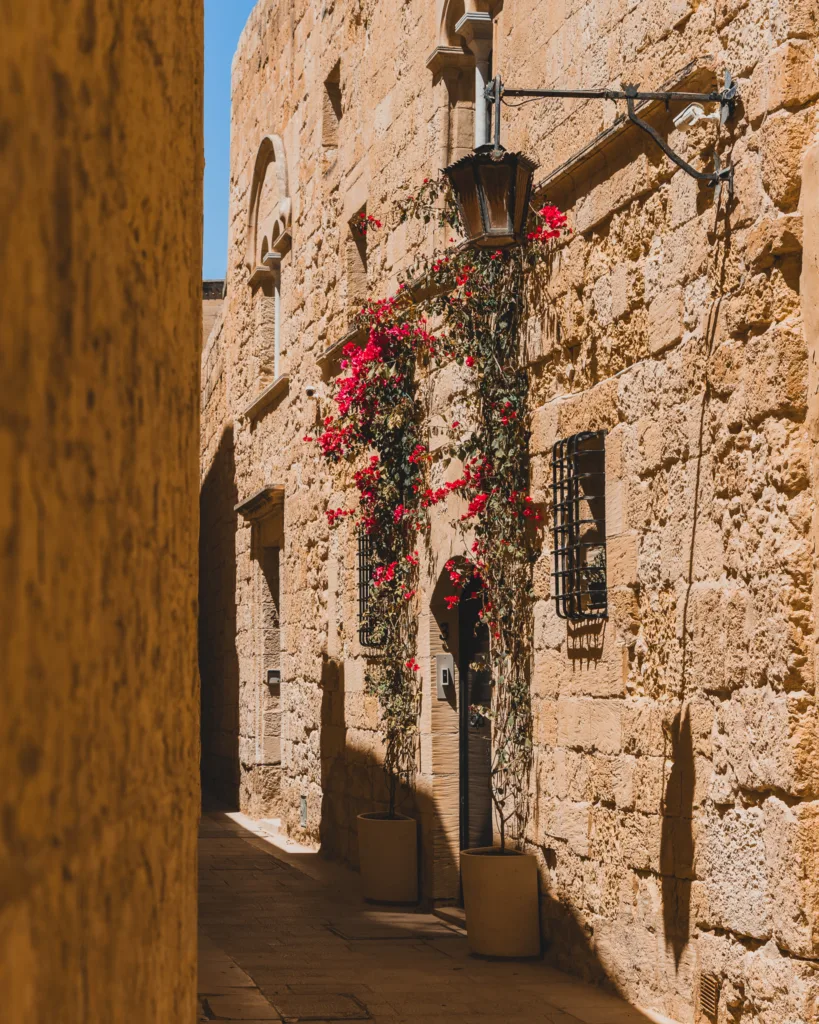 Wąska uliczka w Mdinie na Malcie z kamienną elewacją ozdobioną czerwonymi kwiatami i stylową latarnią