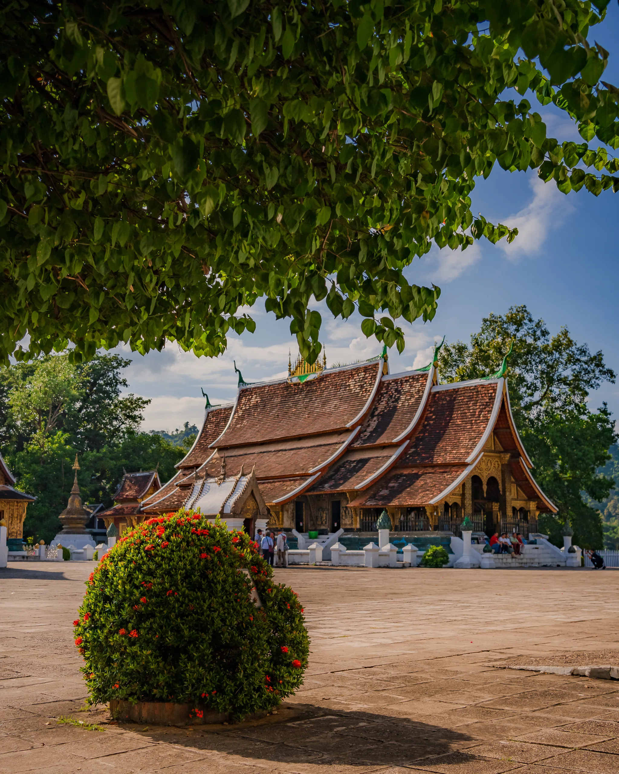 Świątynia Wat Xieng Thong w Luang Prabang, Laos, widoczna spod rozłożystego drzewa, z ozdobnym dachem i zdobieniami w złotych detalach - co zobaczyć w Laosie