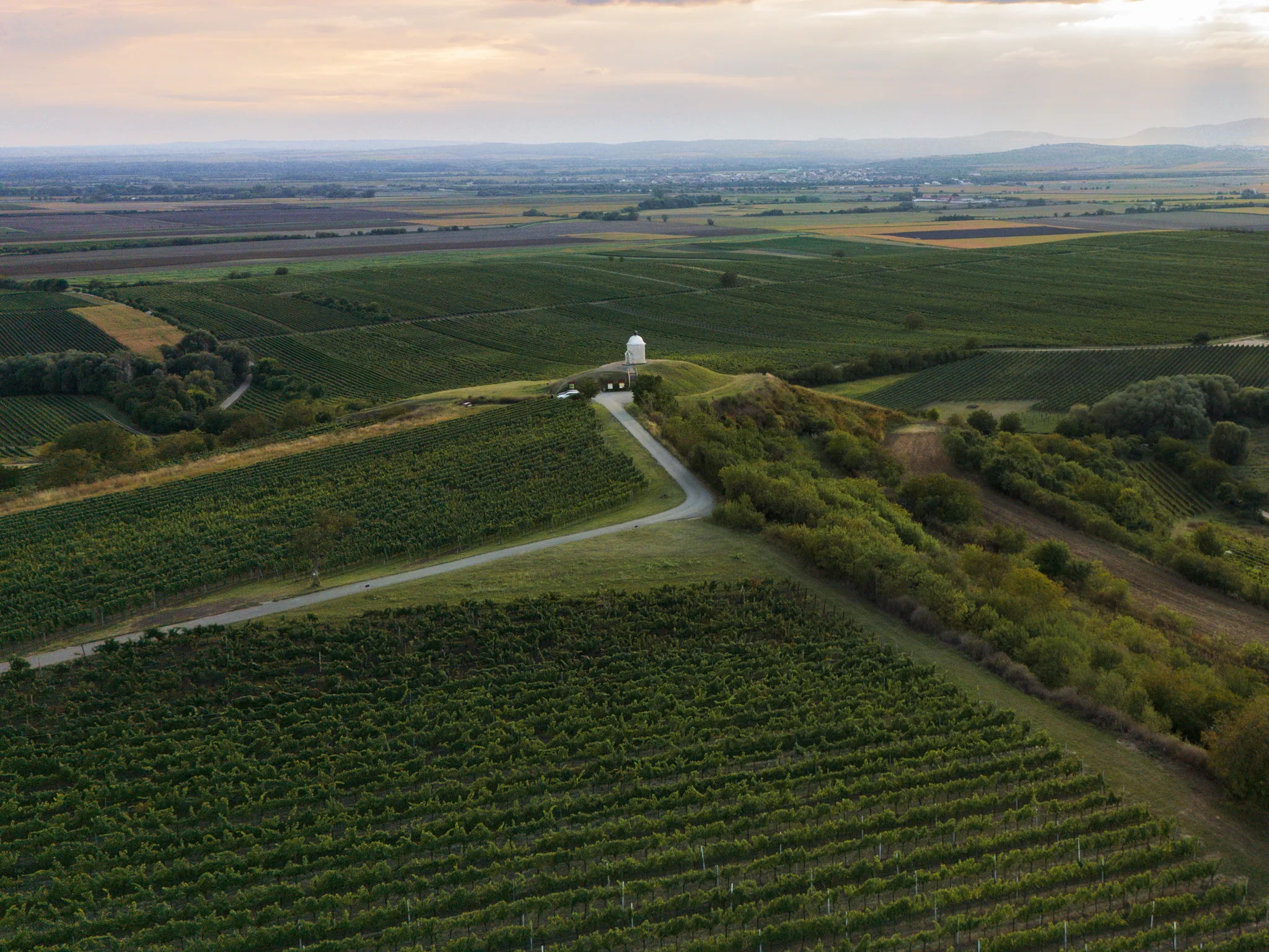 Panorama morawskich winnic o zachodzie słońca z samotną białą kapliczką pośród rzędów winorośli.