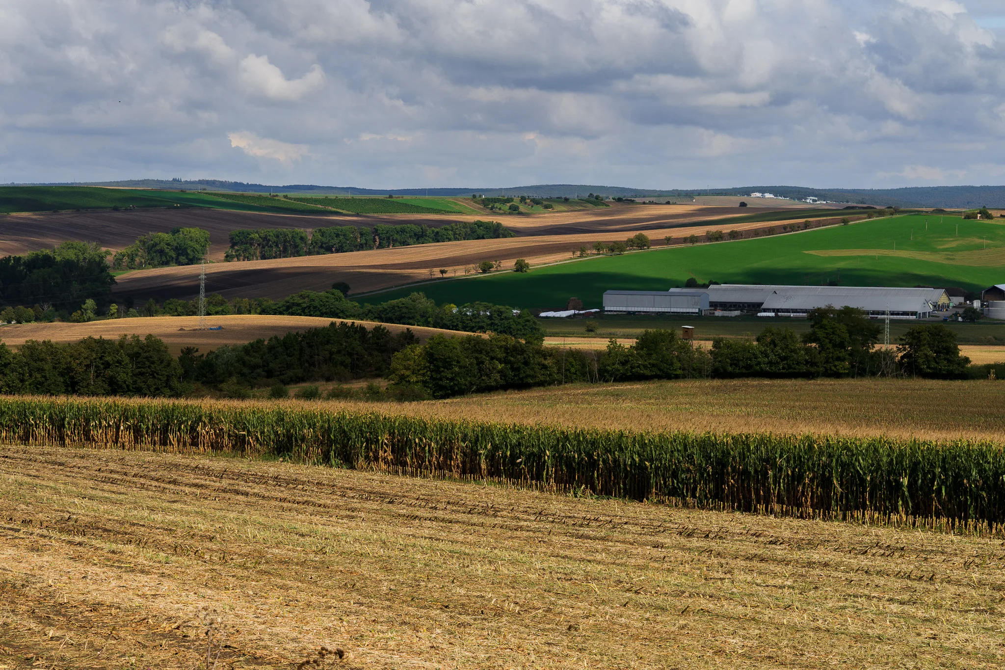 Kolorowe pasy pól uprawnych i zielonych łąk na falistych wzgórzach Moraw, z widoczną zabudową gospodarczą w tle.