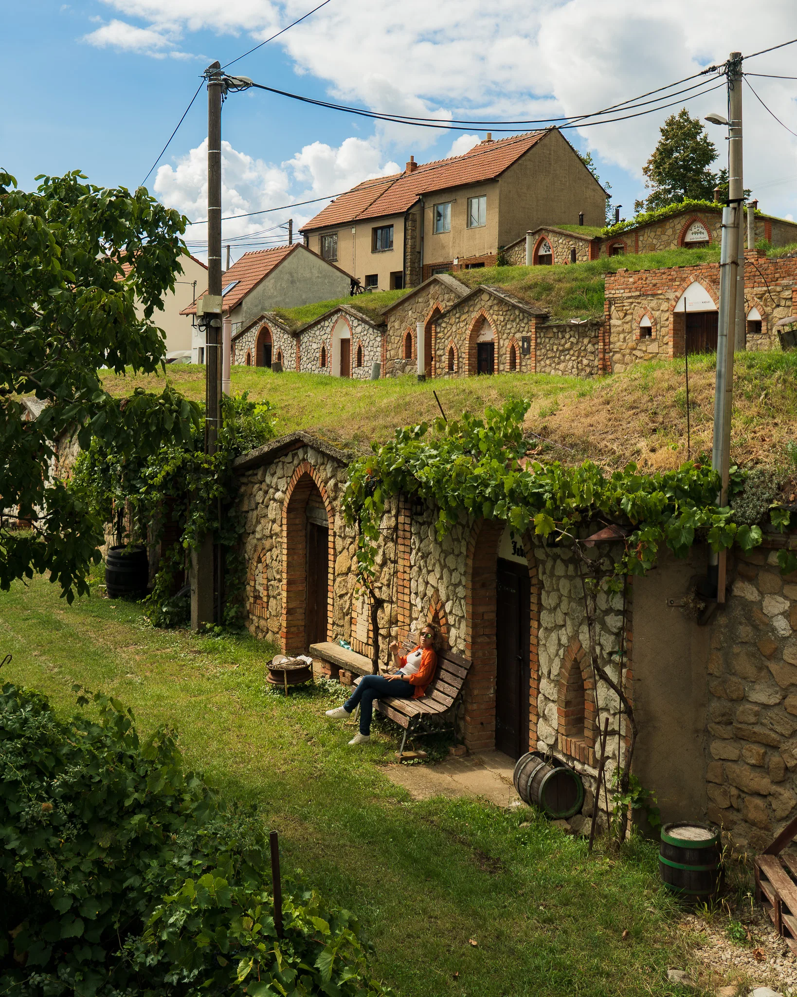 Klimatyczne piwniczki winne w Morawach Południowych zbudowane w zboczu, z kamiennymi fasadami porośniętymi winoroślą.