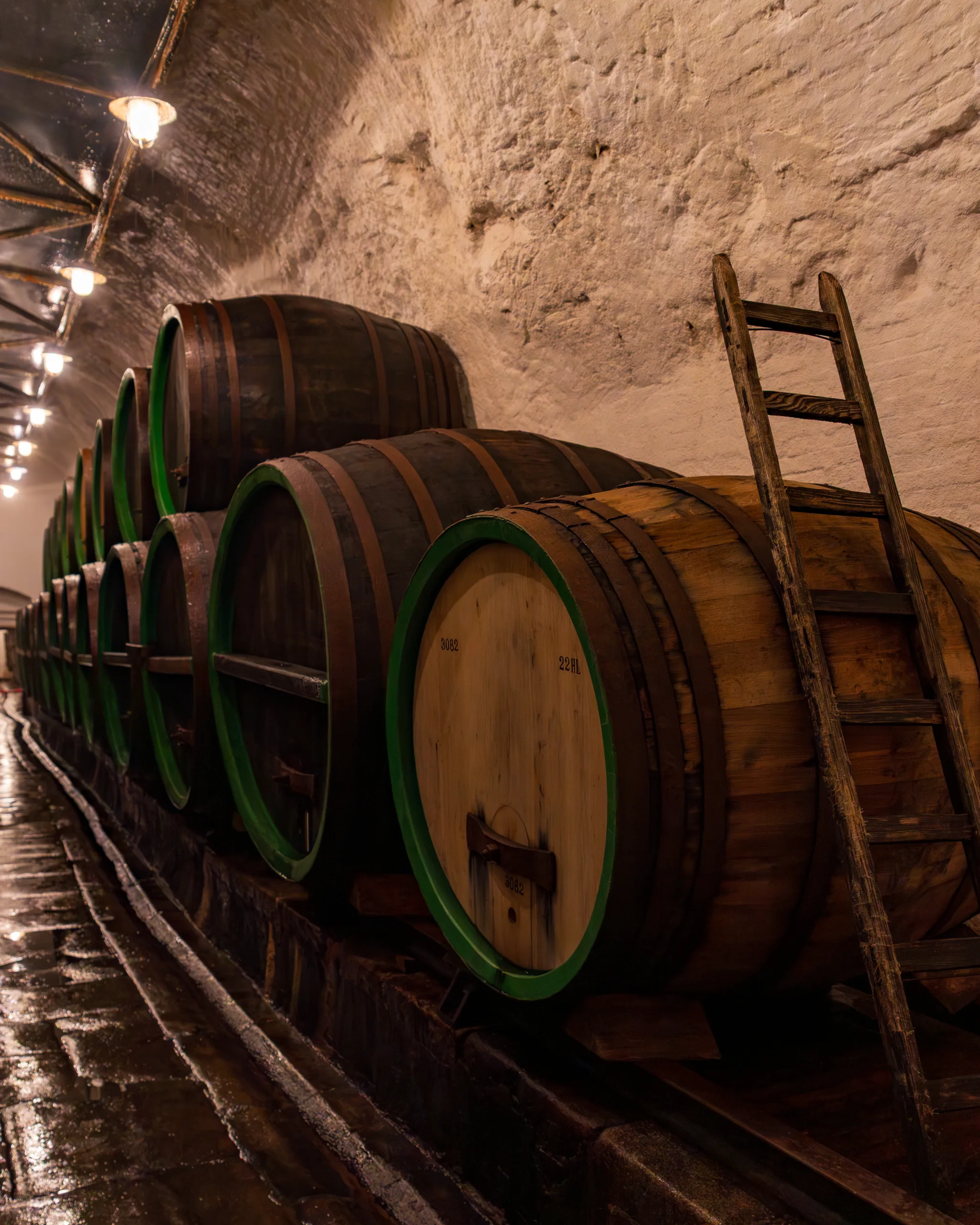 Piwnica browarnicza z dużymi drewnianymi beczkami do leżakowania piwa, ułożonymi wzdłuż kamiennej ściany.