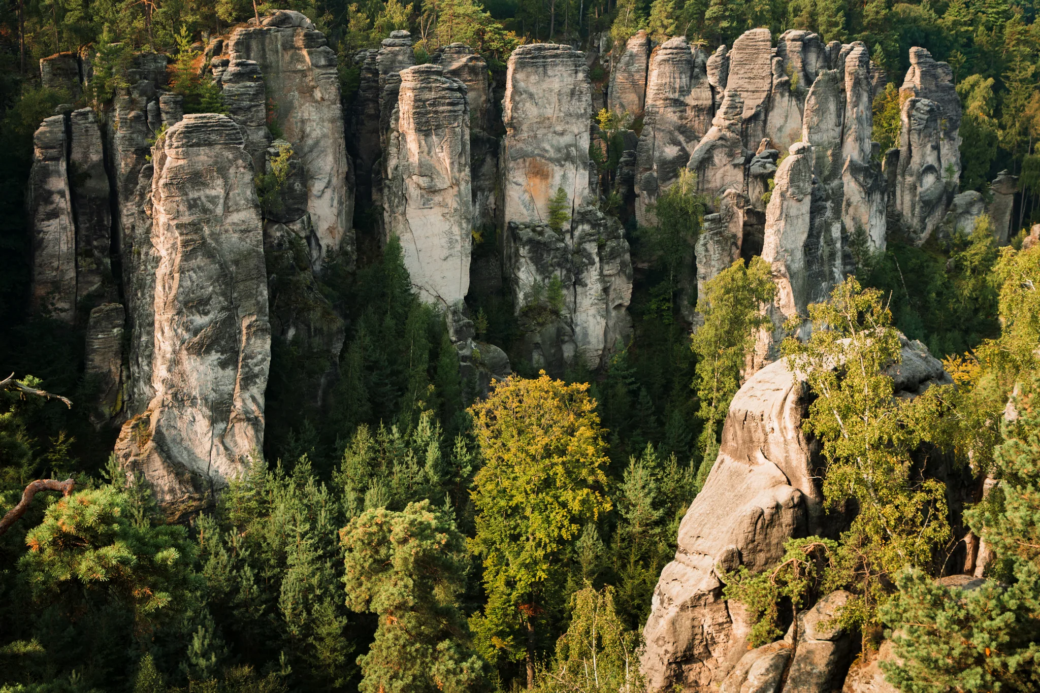 Majestatyczne formacje skalne w Czeskim Raju wyrastające ponad gęsty las, tworzące niezwykły krajobraz skalnego miasta.
