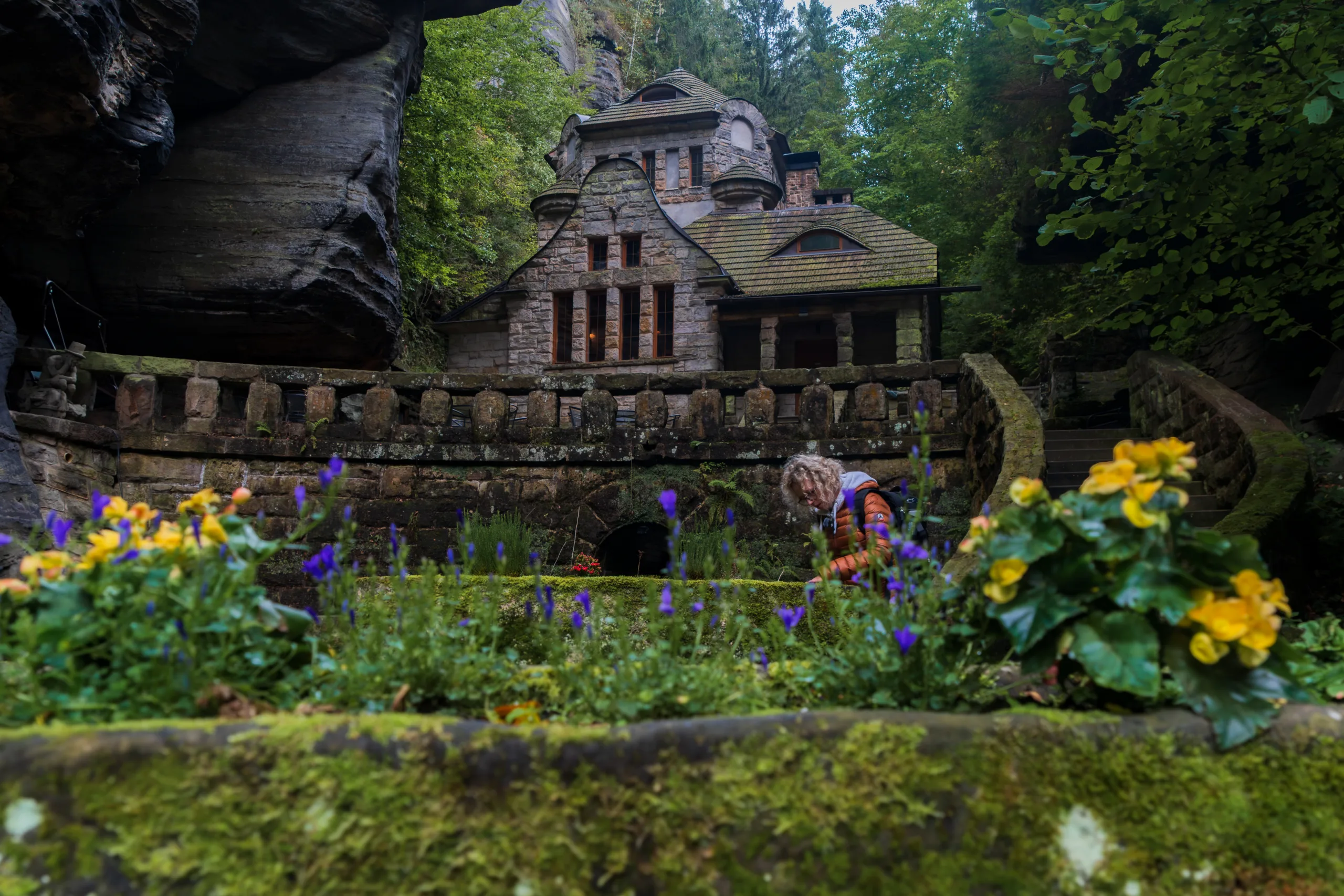 Kamienny Domek Myśliwski w Czeskiej Szwajcarii, widziany zza kwitnących kwiatów, z turystką przy ogrodzeniu.