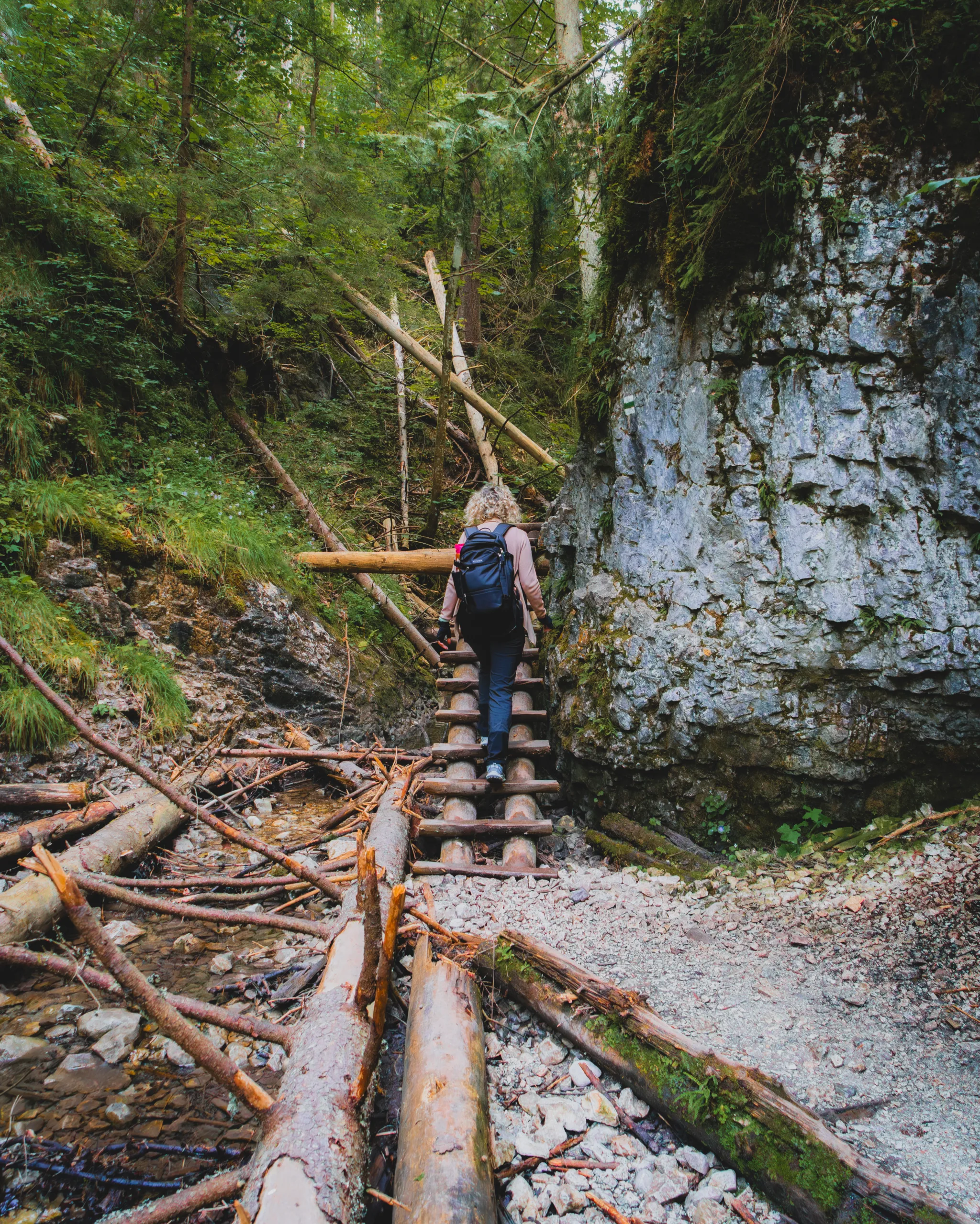 Turystka wspinająca się po drewnianej drabinie w wąwozie, otoczona zielonym lasem i skałami w Słowackim Raju - Sucha Bela, Słowacki raj