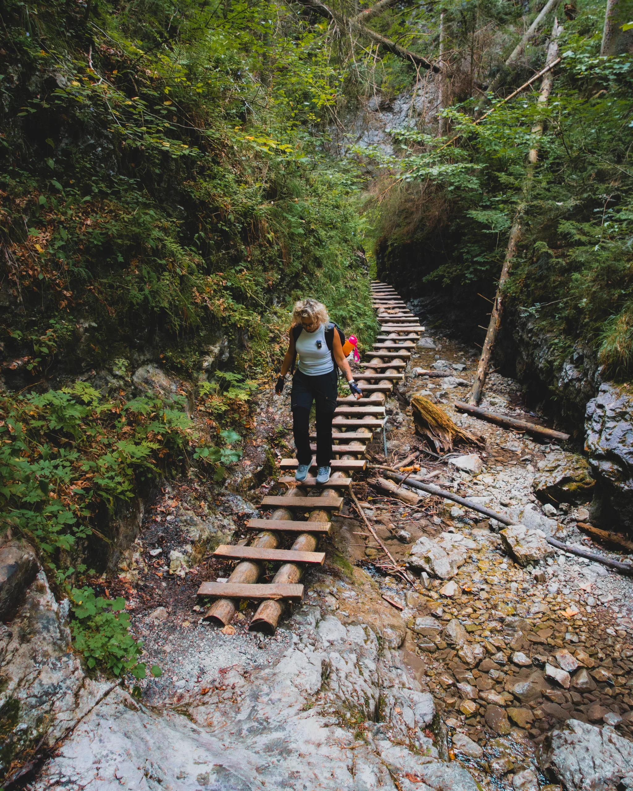 Turyści wspinający się po metalowych drabinkach w wąwozie Słowackiego Raju, otoczeni zielenią i skałami.