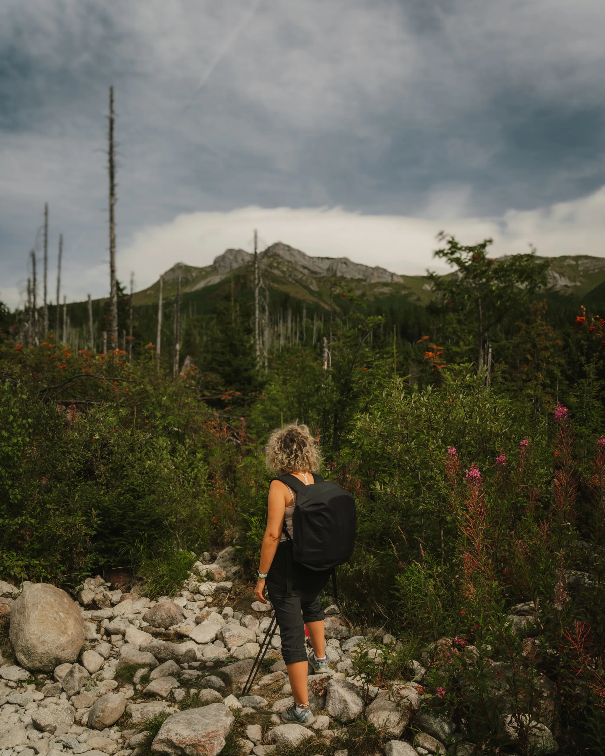 Turystka z plecakiem idąca kamienistym szlakiem wśród zieleni i gór w Tatrach Wysokich.