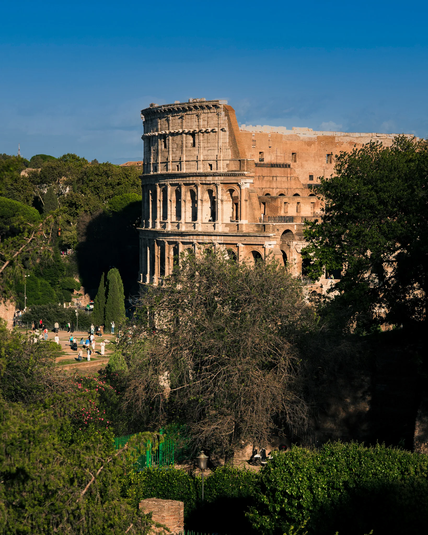 Koloseum w Rzymie otoczone zielenią i drzewami, widziane z pobliskiego wzgórza w popołudniowym świetle