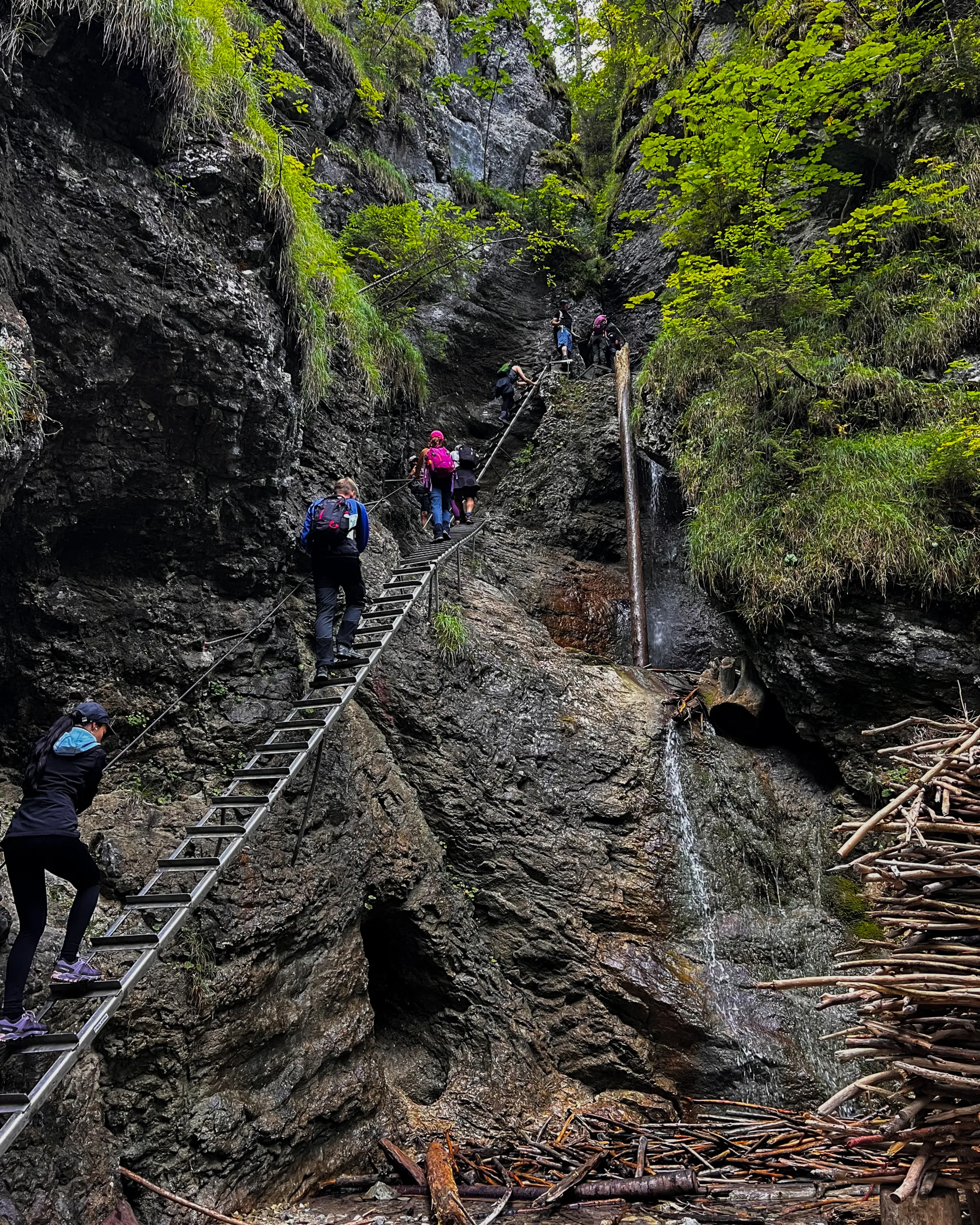 Turyści wspinający się po metalowej drabinie w wąwozie Słowackiego Raju obok wodospadu, otoczeni stromymi skałami i zielenią.