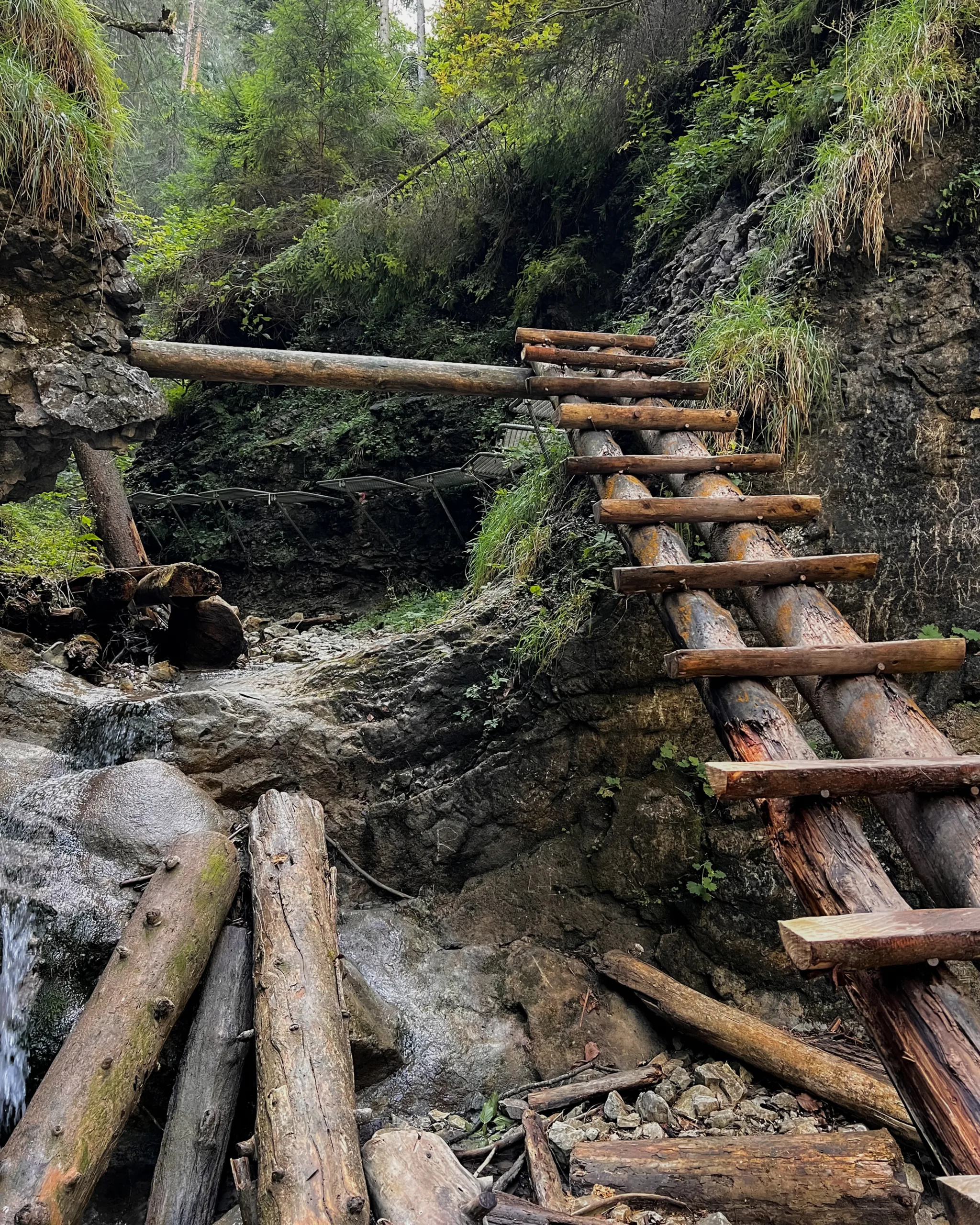 Drewniana drabina prowadząca w górę wąwozu w Słowackim Raju, otoczona skałami, strumieniem i zielenią lasu.
