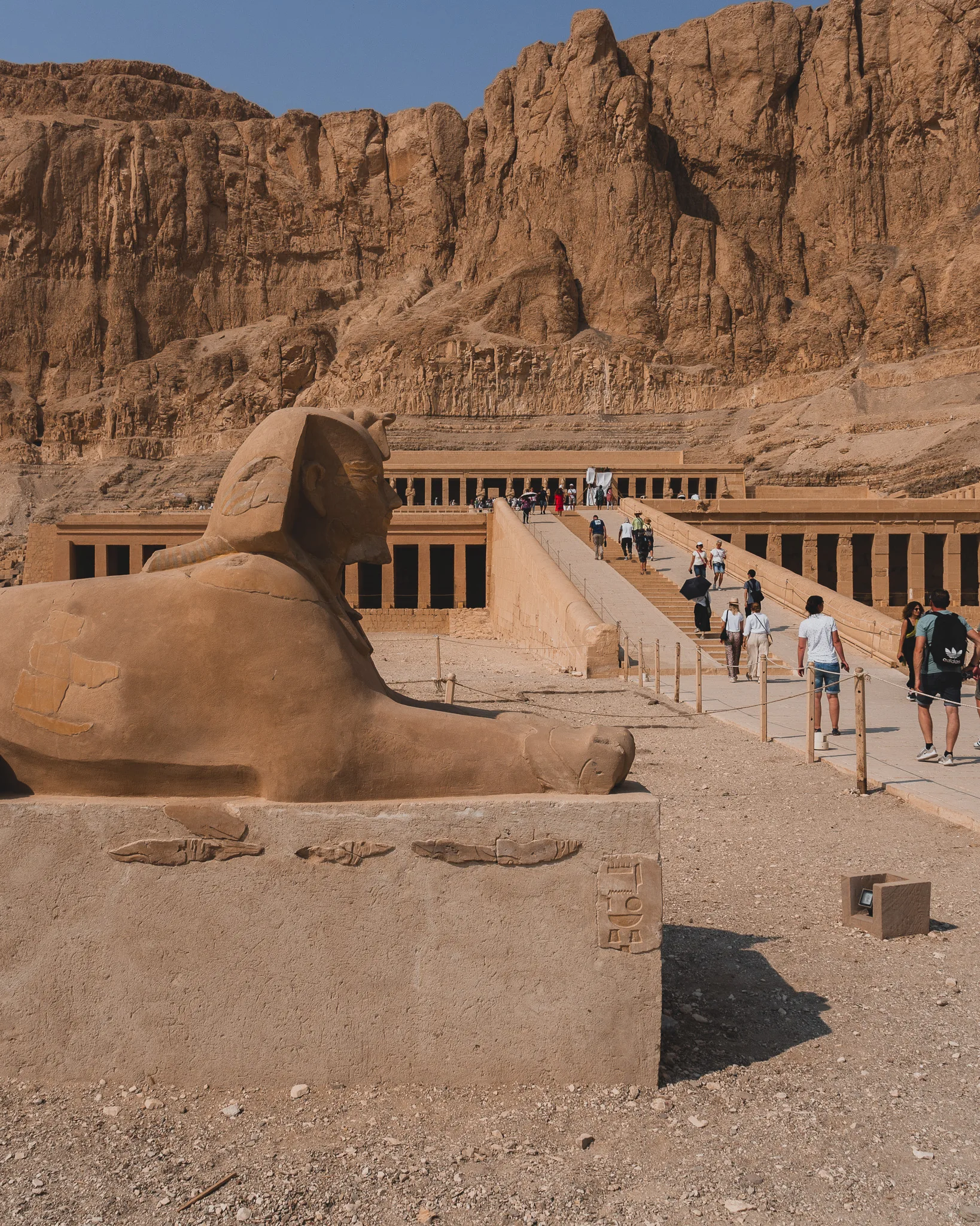 Świątynia Hatszepsut - sfinks przed wejściem