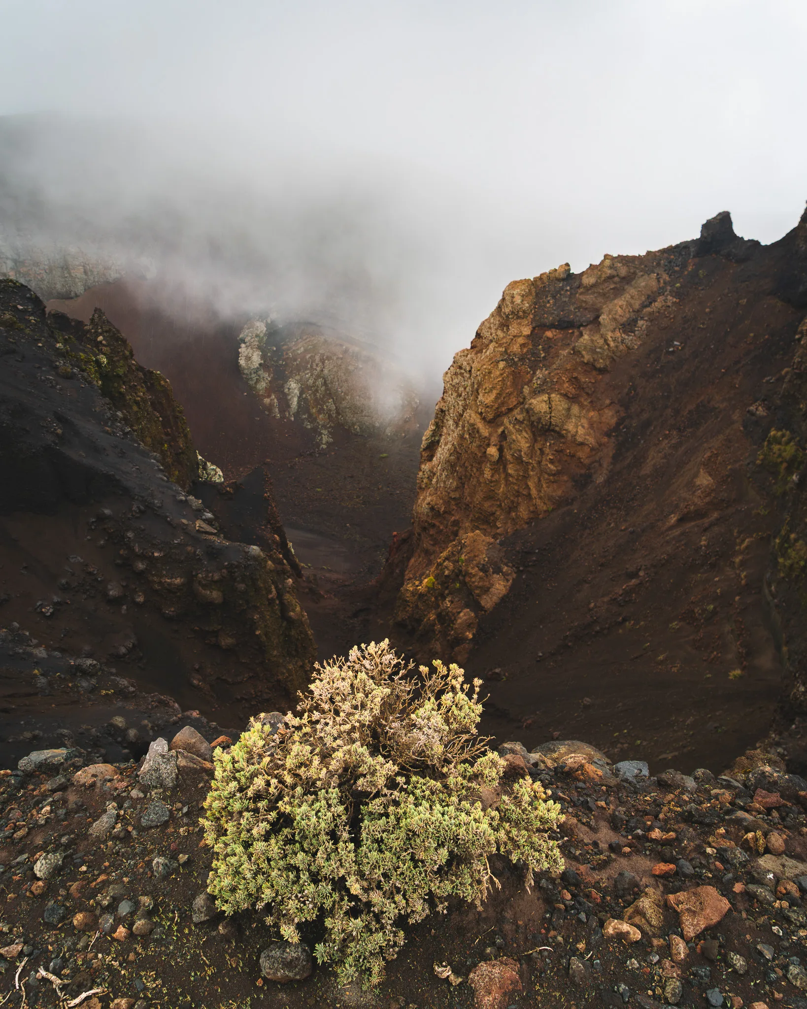 Krater wulkaniczny na La Palmie, surowy krajobraz z roślinnością