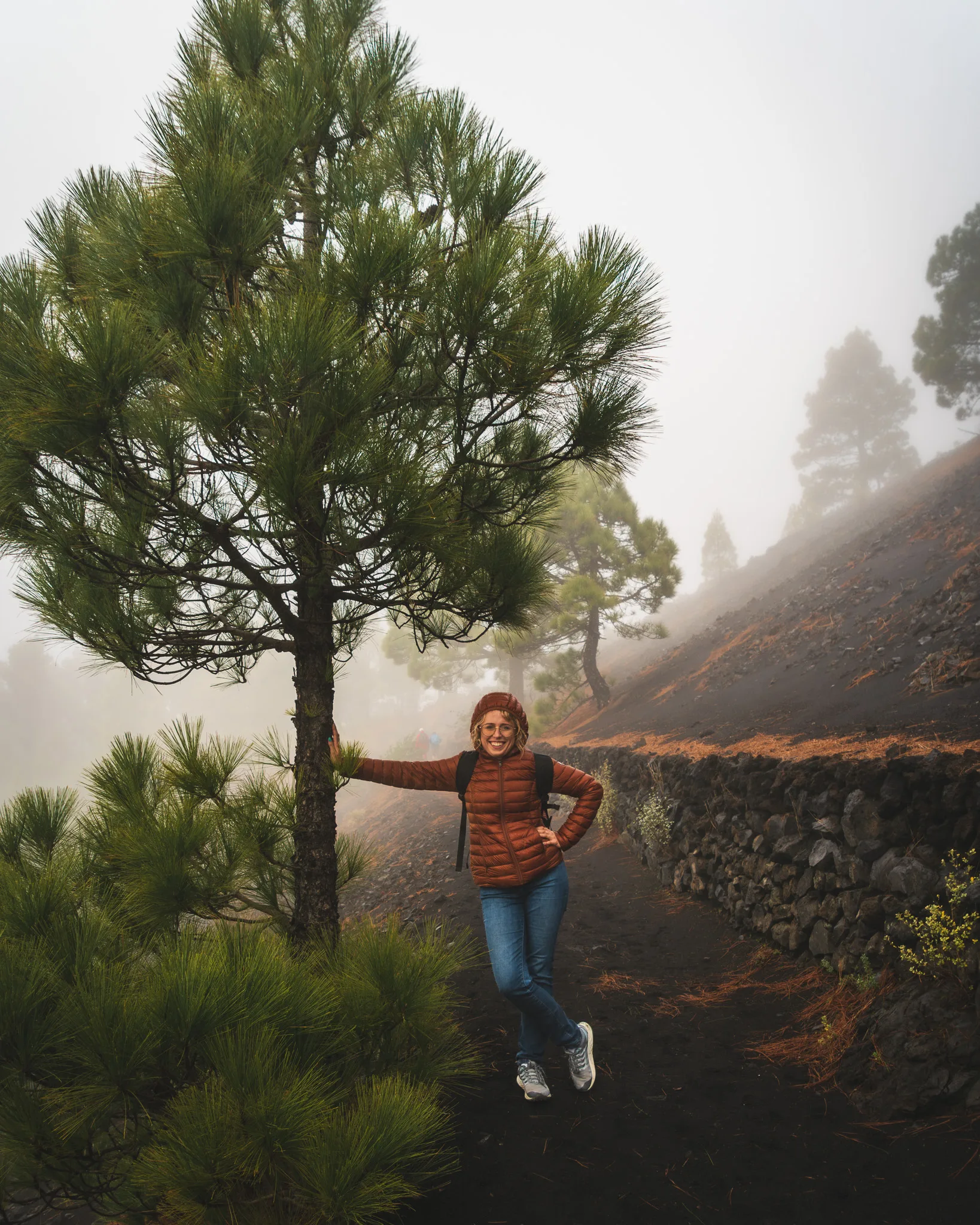 Szlak wśród sosen na La Palmie, mgła i górski klimat