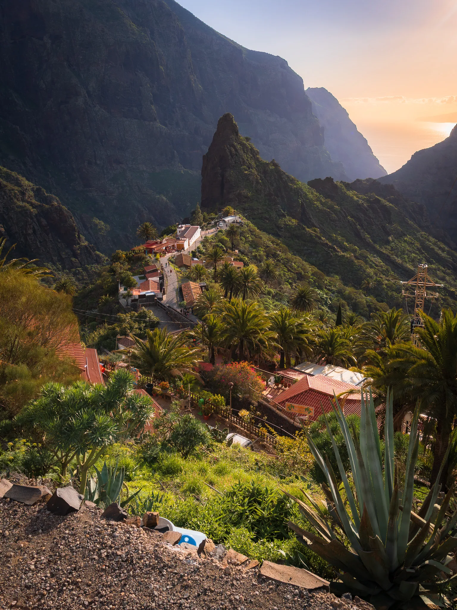 Widok na zieloną dolinę Masca – tarasowo położone domy, palmy i wąska droga prowadząca przez jedno z najbardziej malowniczych miejsc na Teneryfie, skąpane w ciepłym, popołudniowym świetle.
TENERYFA