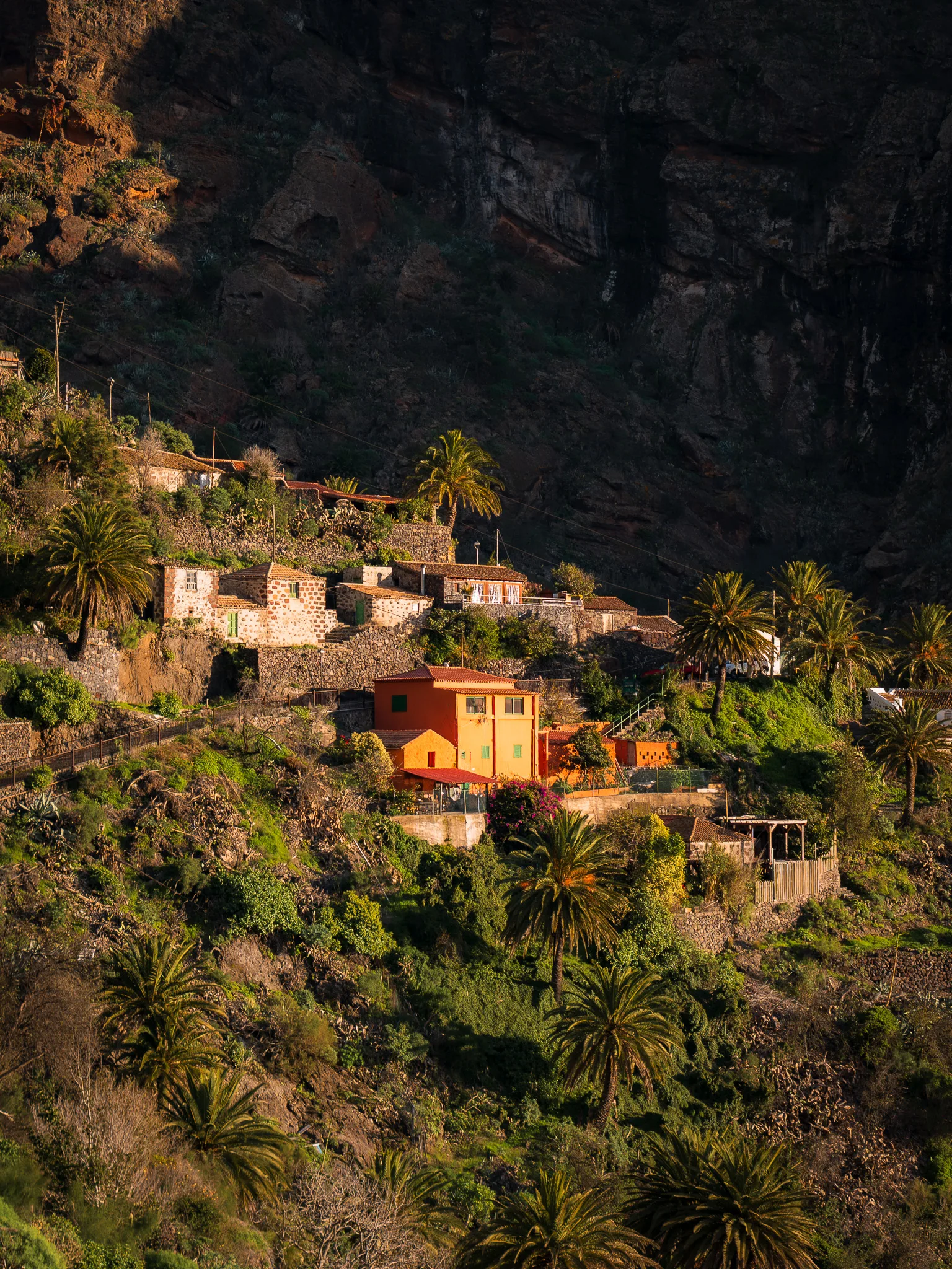 Kamienne domy w wąwozie Masca – tradycyjna zabudowa wtopiona w strome zbocza doliny, z palmami i zielenią kontrastującymi z surową, skalną ścianą kanionu TENERYFFA