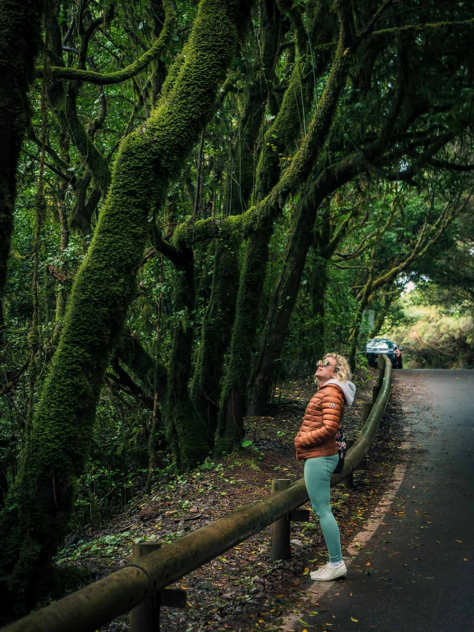 Góry Anaga (Teneryfa) – zielone szlaki, Taganana i mapa tras trekkingowych