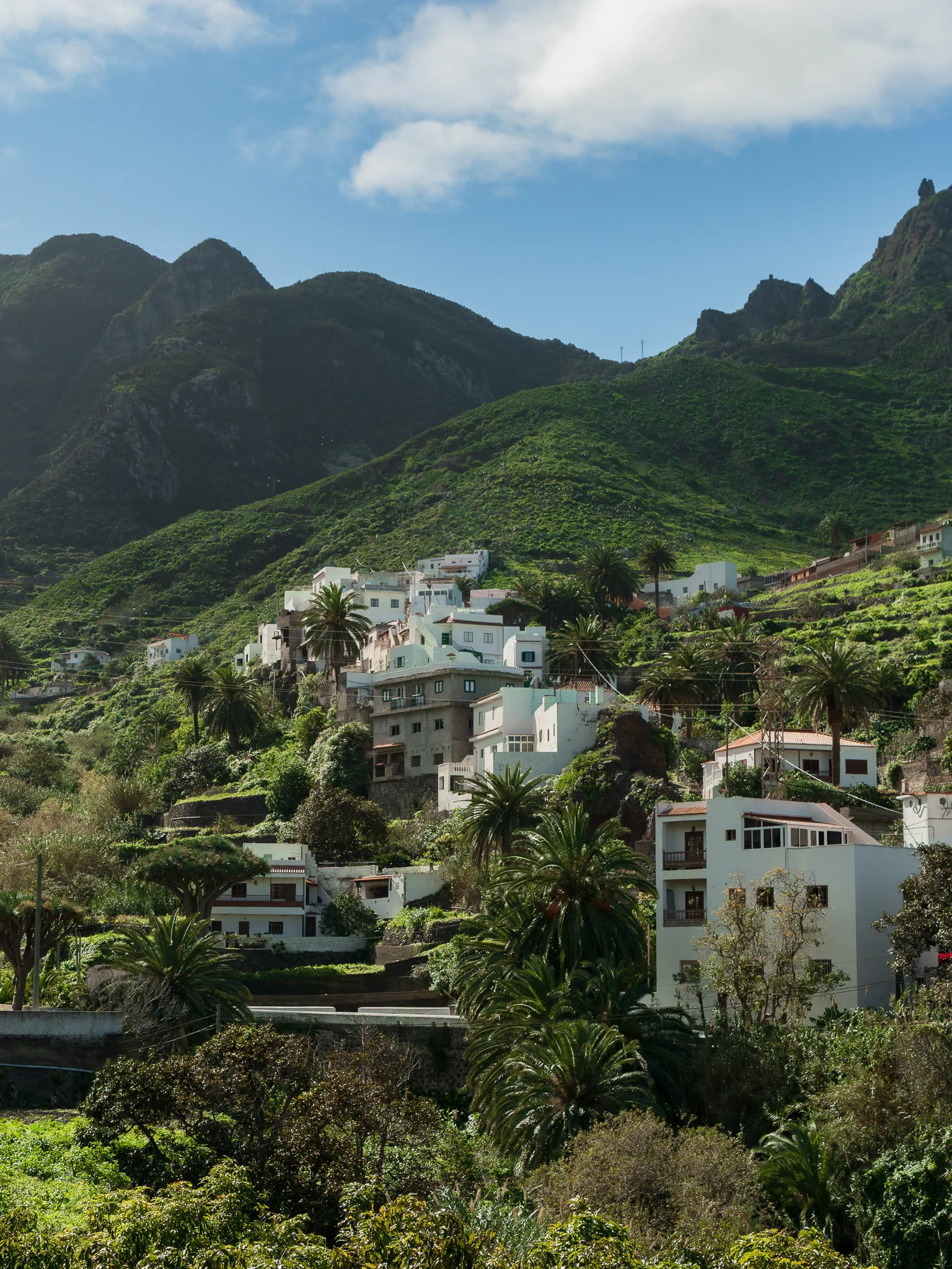 Góry Anaga (Teneryfa) – zielone szlaki, Taganana i mapa tras trekkingowych