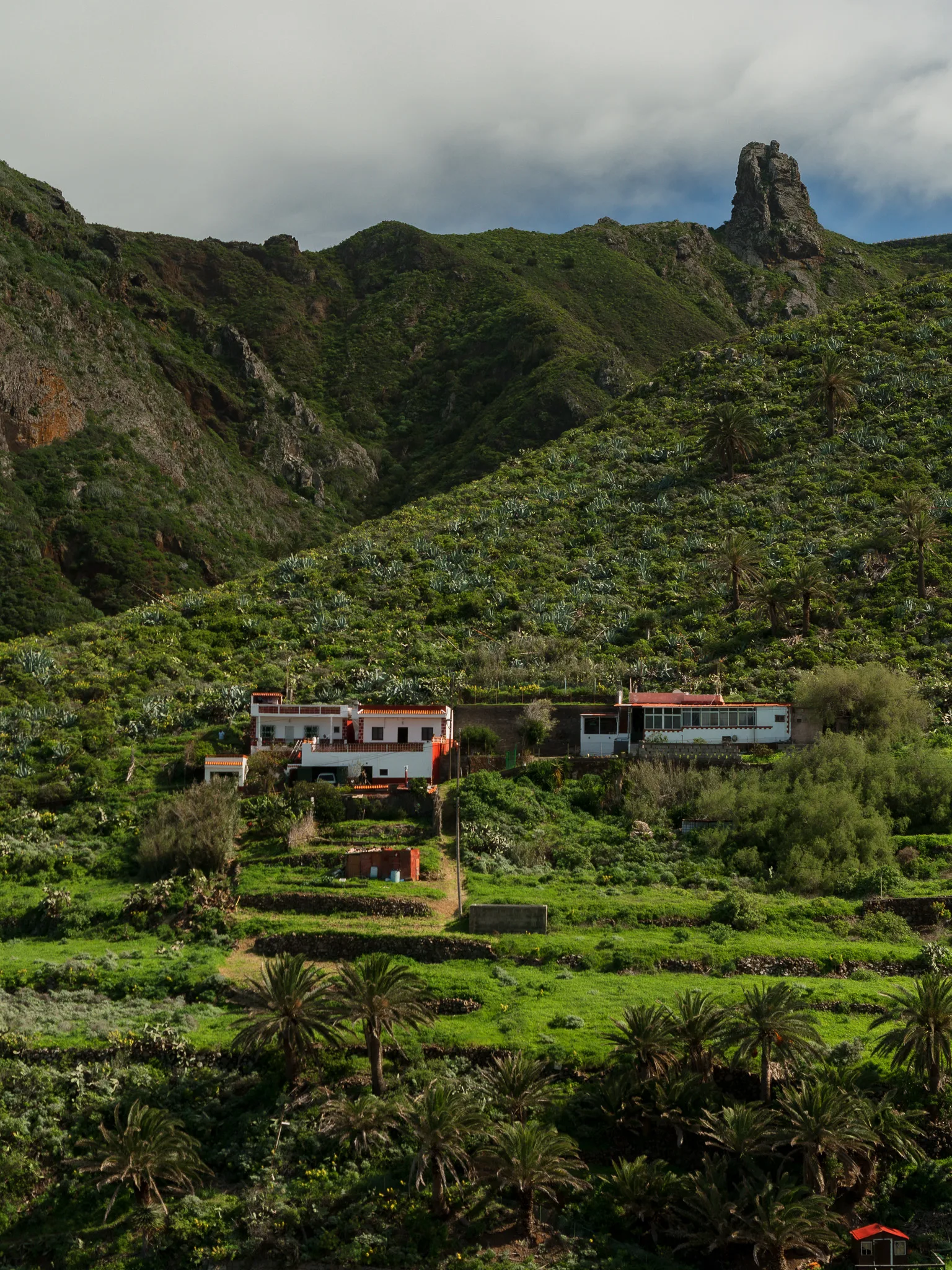 Góry Anaga (Teneryfa) – zielone szlaki, Taganana i mapa tras trekkingowych
