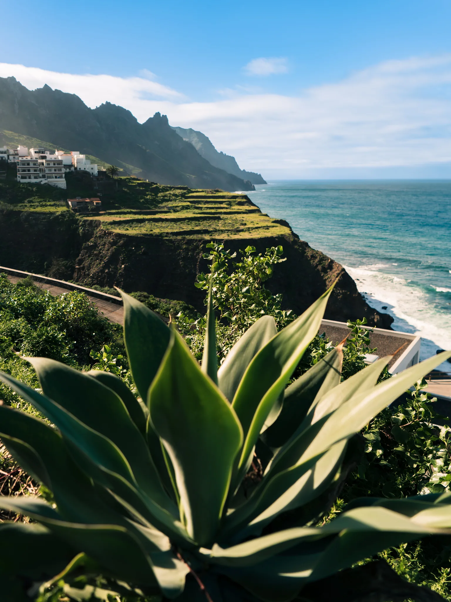 Tarasowe klify północnej Teneryfy z zielonymi tarasami uprawnymi i surowym wybrzeżem Atlantyku, w tle góry Anaga.
