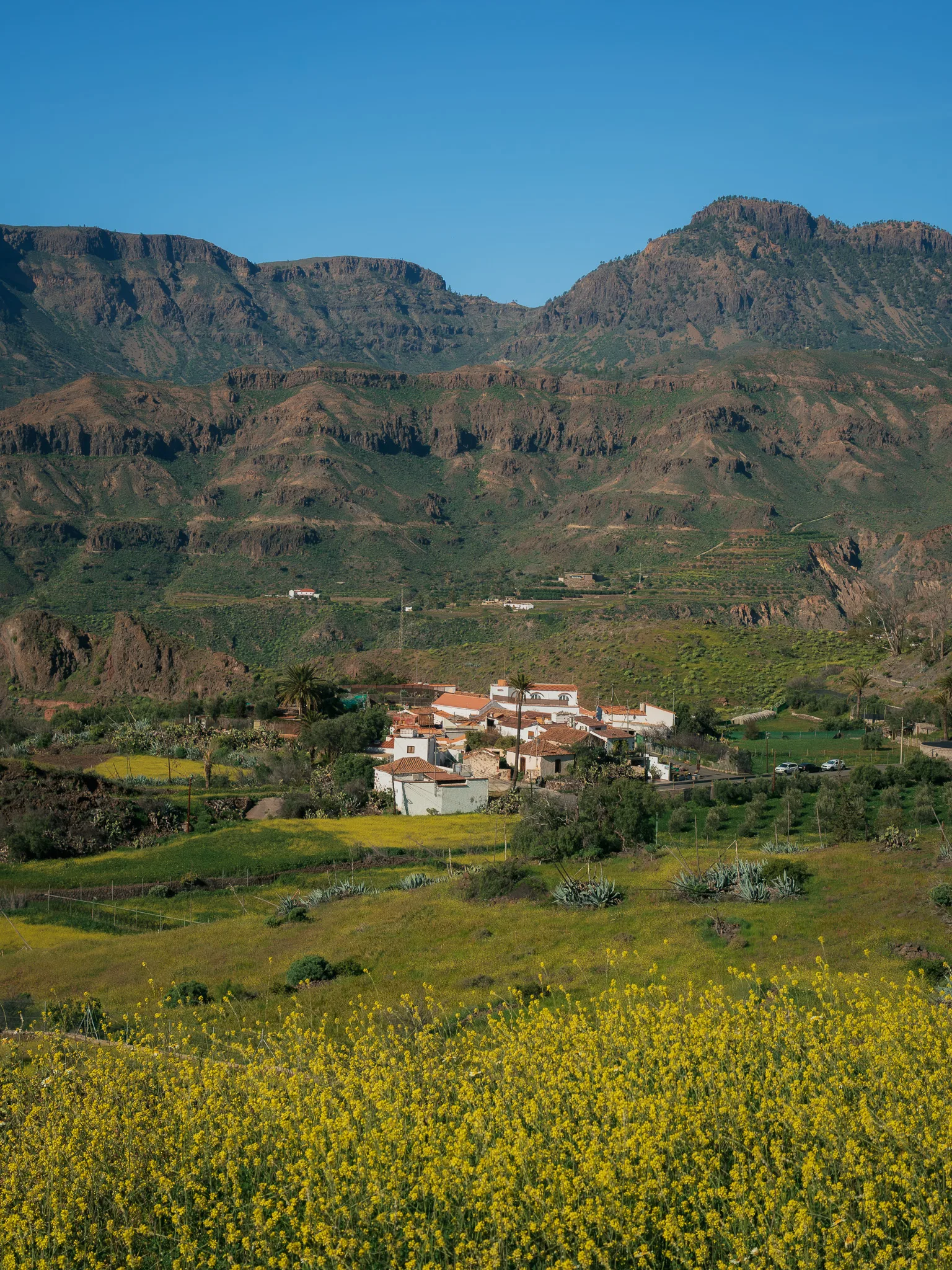 Gran Canaria: mała wioska w zielonej dolinie, na pierwszym planie żółte kwiaty i pola uprawne