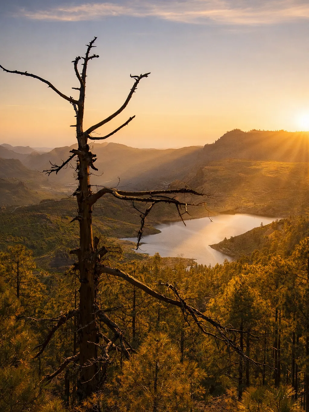 Gran Canaria: zachód słońca nad górską doliną i jeziorem, na pierwszym planie samotne drzewo
