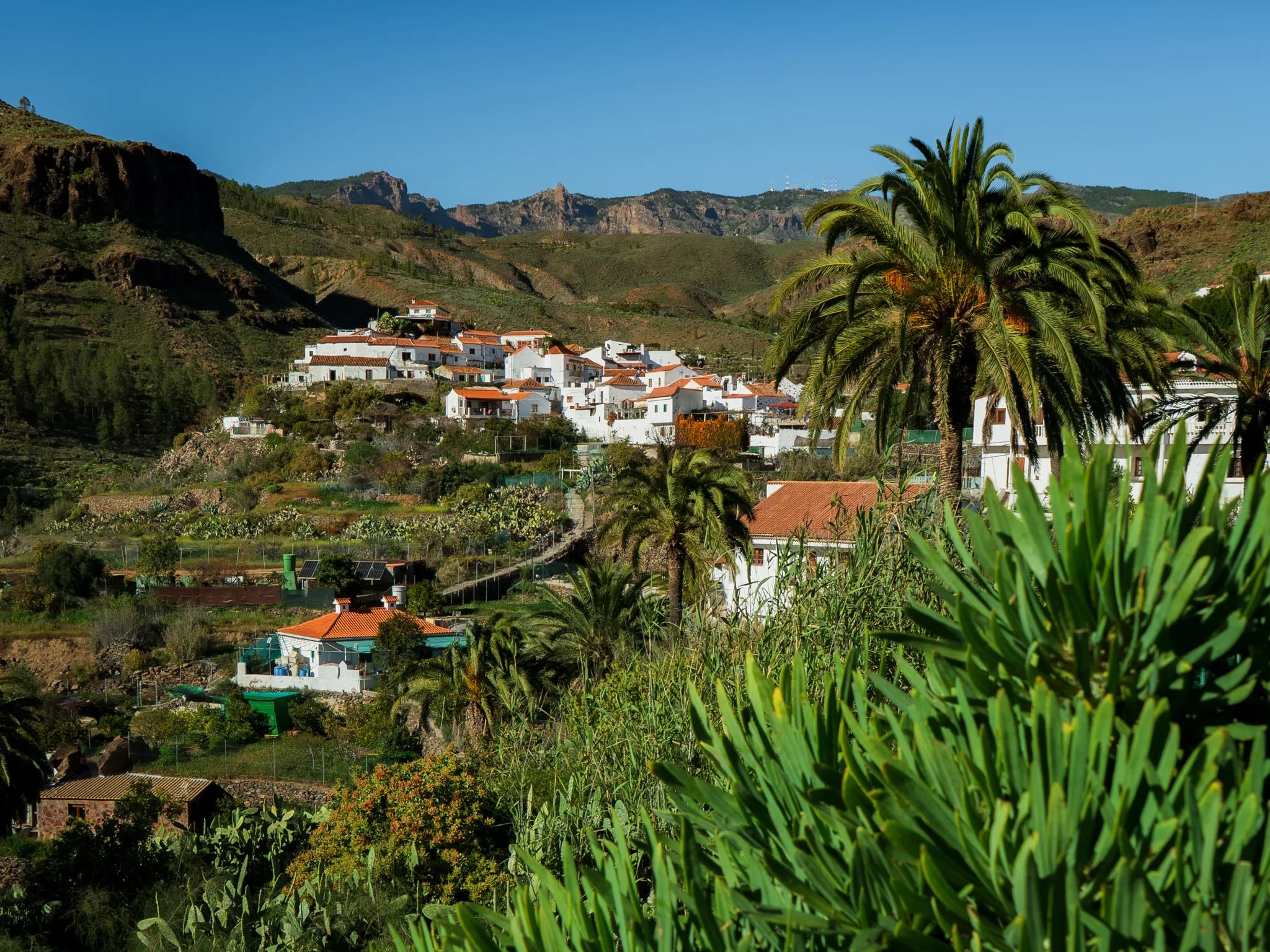 Gran Canaria: Fataga – białe domy miasteczka wśród palm i zielonej doliny, w tle górskie zbocza