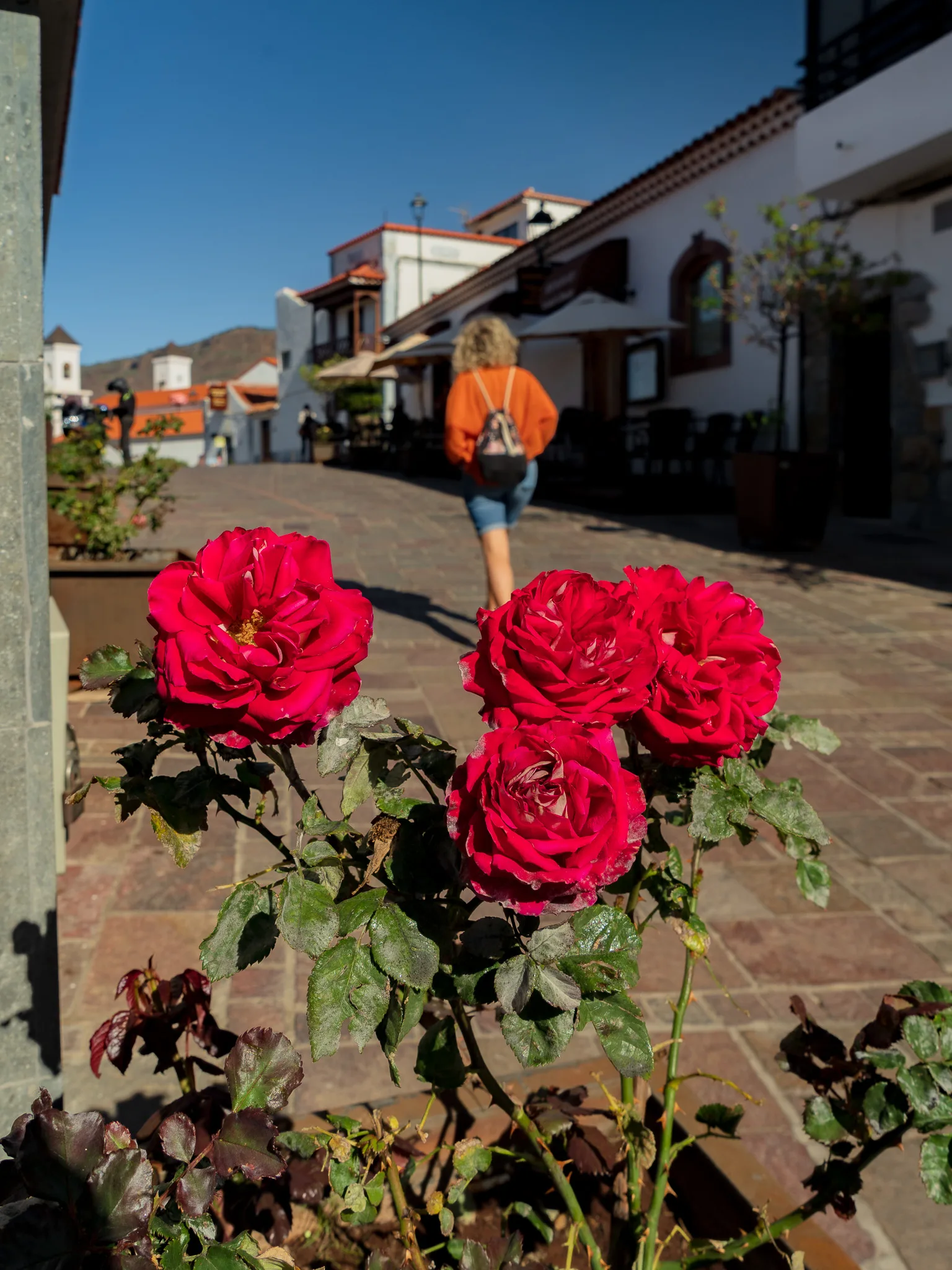 Gran Canaria – atrakcje, mapa i plan zwiedzania wyspy