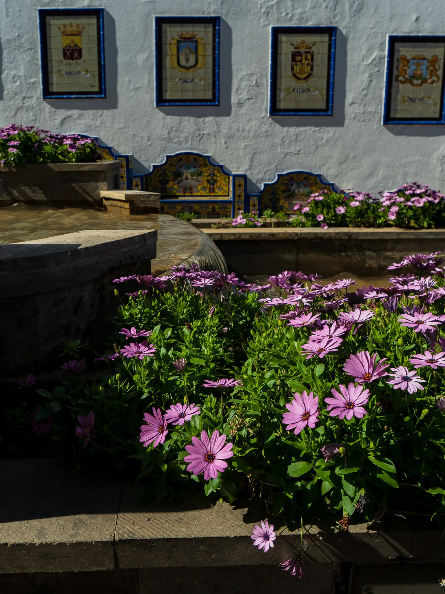 Gran Canaria: Firgas – fontanna i rabaty z fioletowymi kwiatami, na ścianie ceramiczne herby