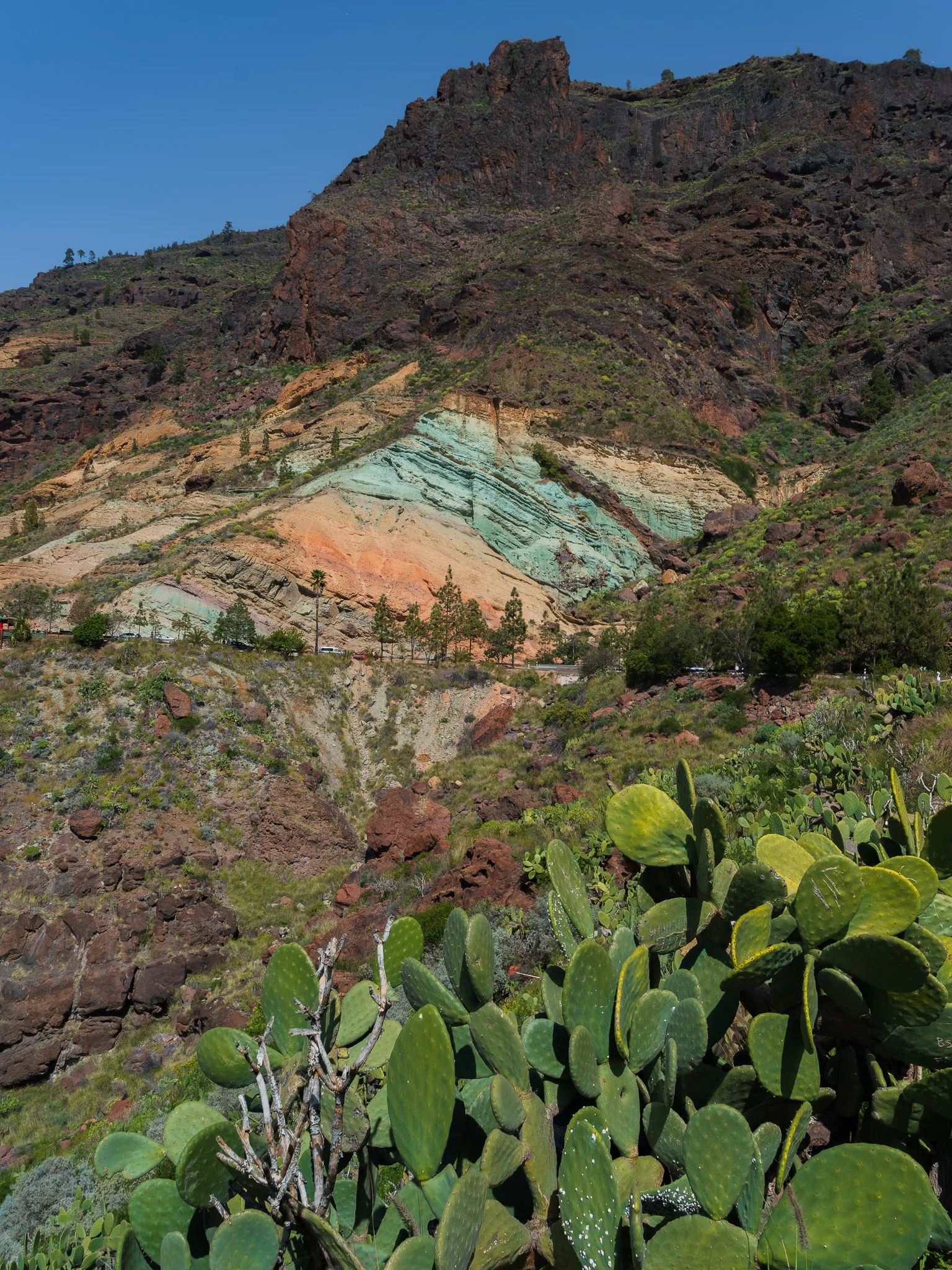 Gran Canaria: wielobarwne zbocze z warstwami skał i kaktusami opuncji na pierwszym planie